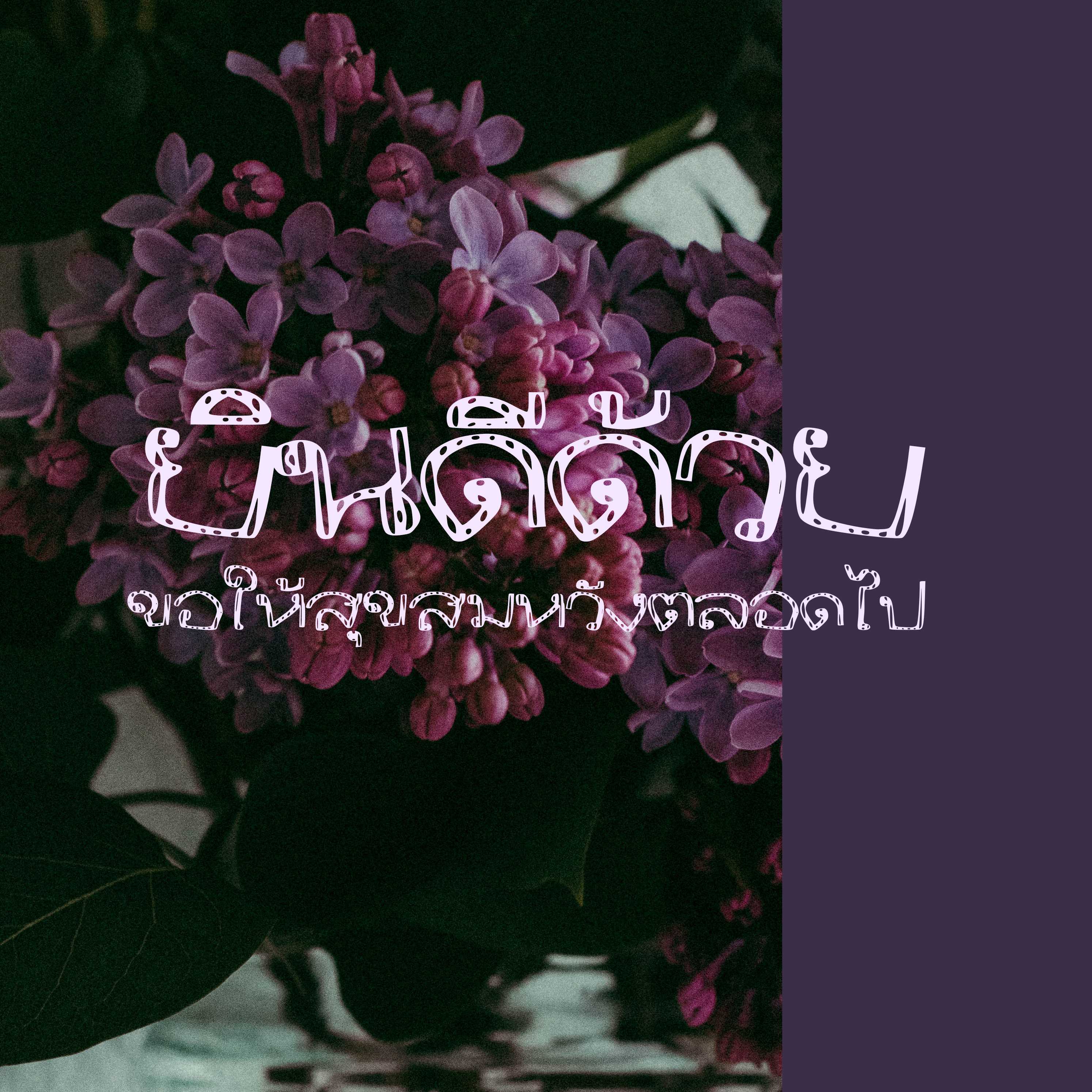 ฟอนต์นูร่าทางกว้าง