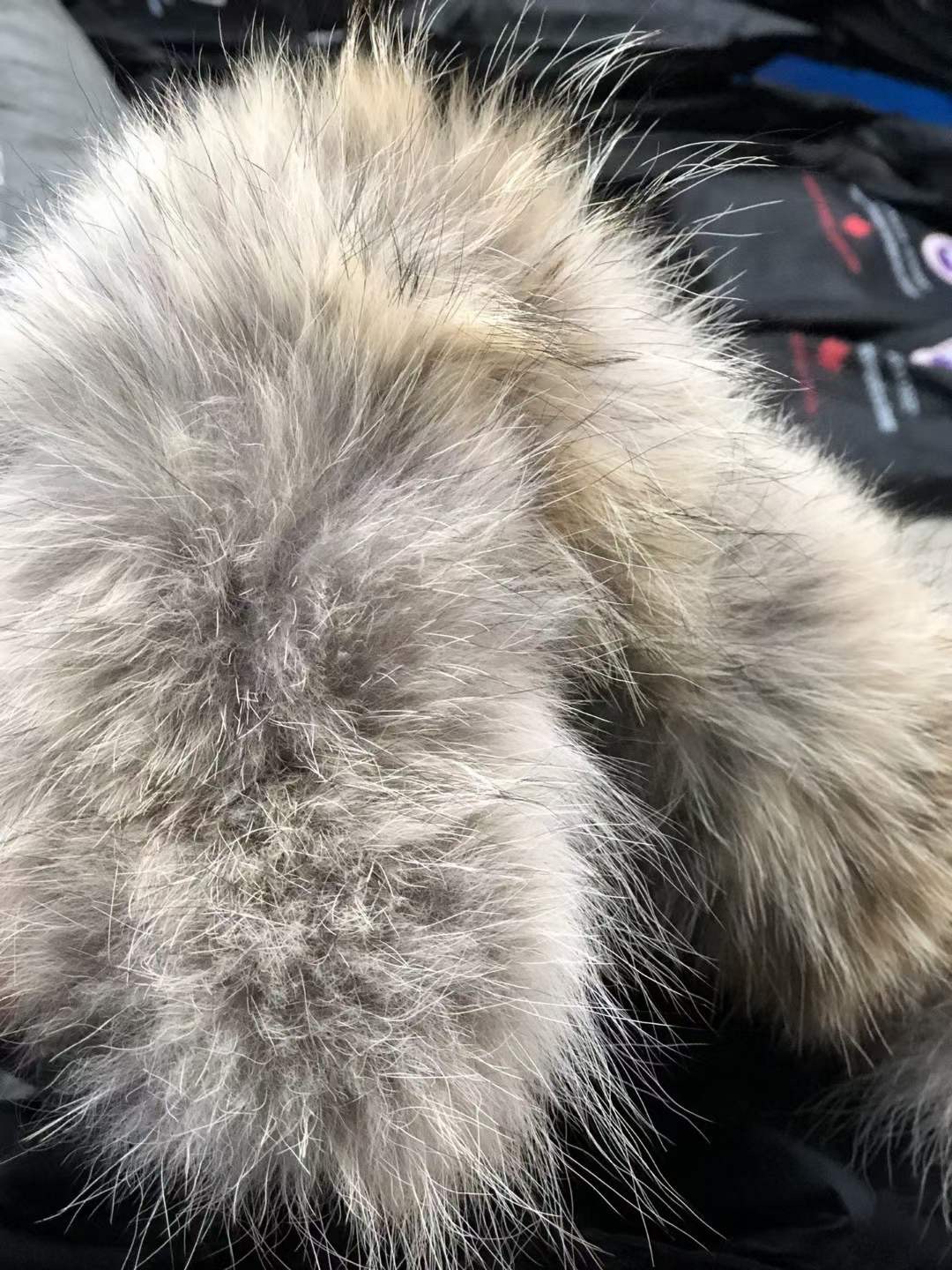 **Do** เสื้อ Canada Goose ใส่ได้ชาย หญิง สำหรับหนาวหรือหิมะตก ฮู้ดขนเฟอร์ มี 6 สีให้เลือก สินค้าใหม่ ของแท้