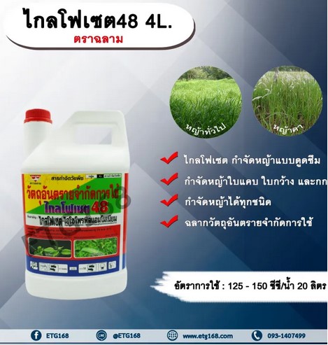 ไกลตราฉลาม 4L.กำจัดหญ้าคาและหญ้าทั่วไป