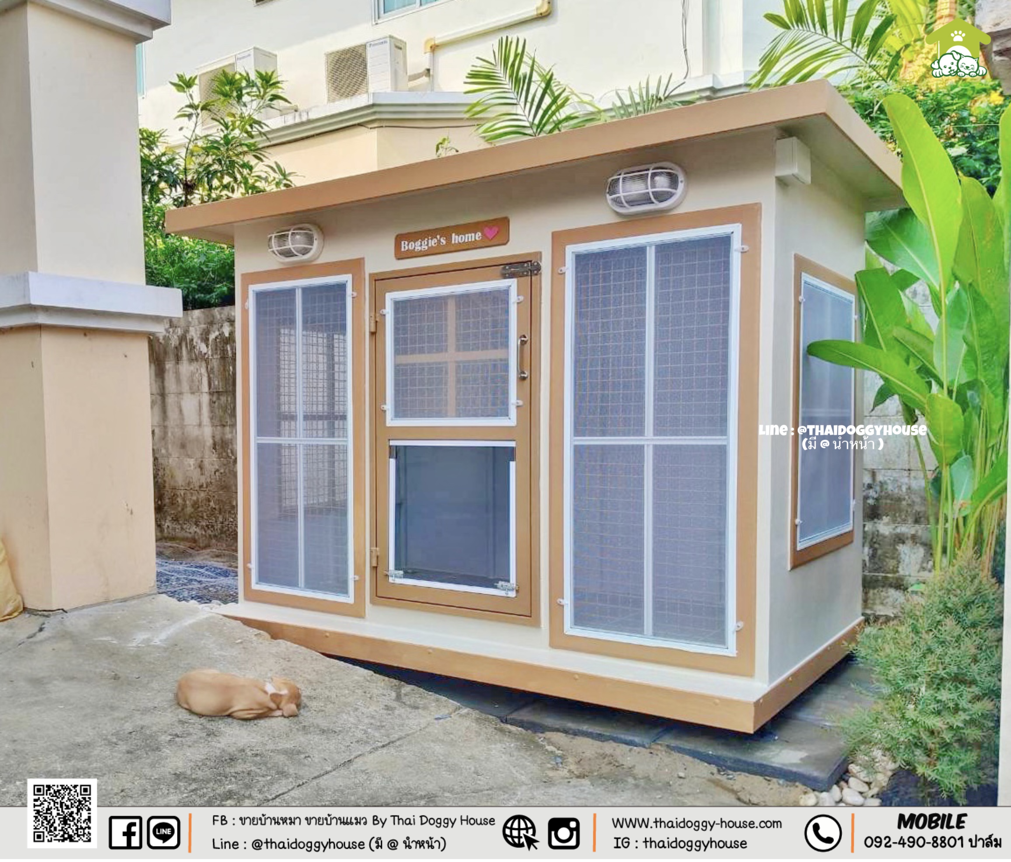 บ้านหมา บ้านแมว " 𝐁𝐎𝐗 𝐒𝐓𝐘𝐋𝐄 𝐁𝐘 𝐓𝐇𝐀𝐈 𝐃𝐎𝐆𝐆𝐘 𝐇𝐎𝐔𝐒𝐄 "