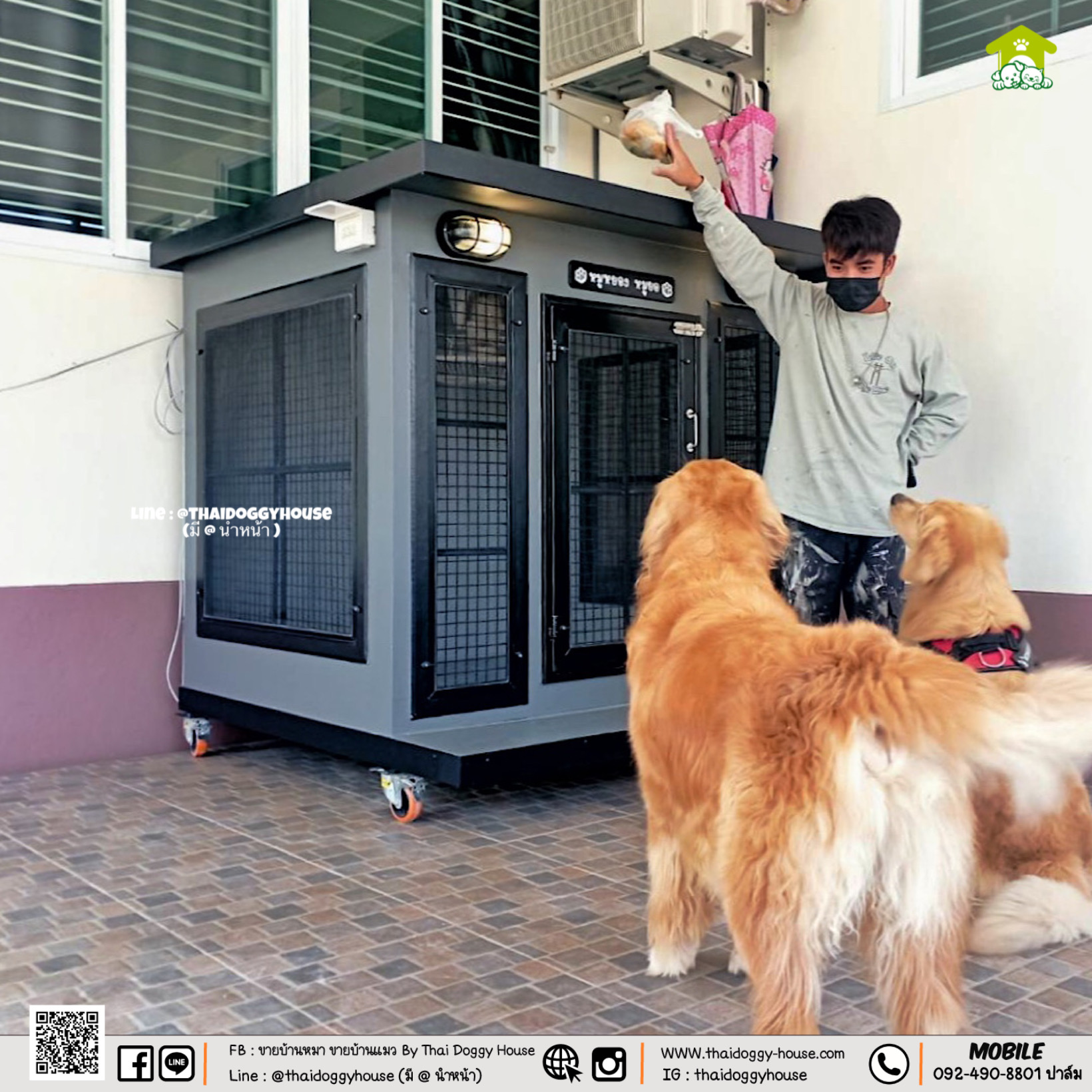 บ้านหมา บ้านแมว " 𝐁𝐎𝐗 𝐒𝐓𝐘𝐋𝐄 𝐁𝐘 𝐓𝐇𝐀𝐈 𝐃𝐎𝐆𝐆𝐘 𝐇𝐎𝐔𝐒𝐄 "