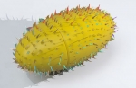 Flash Drive แฟลชไดร์ฟพรีเมี่ยม แฟลชไดร์ฟ รูปทุเรียน Thumb Drive รูปผลไม้ ทุเรียน Durian Shaped usb Drive