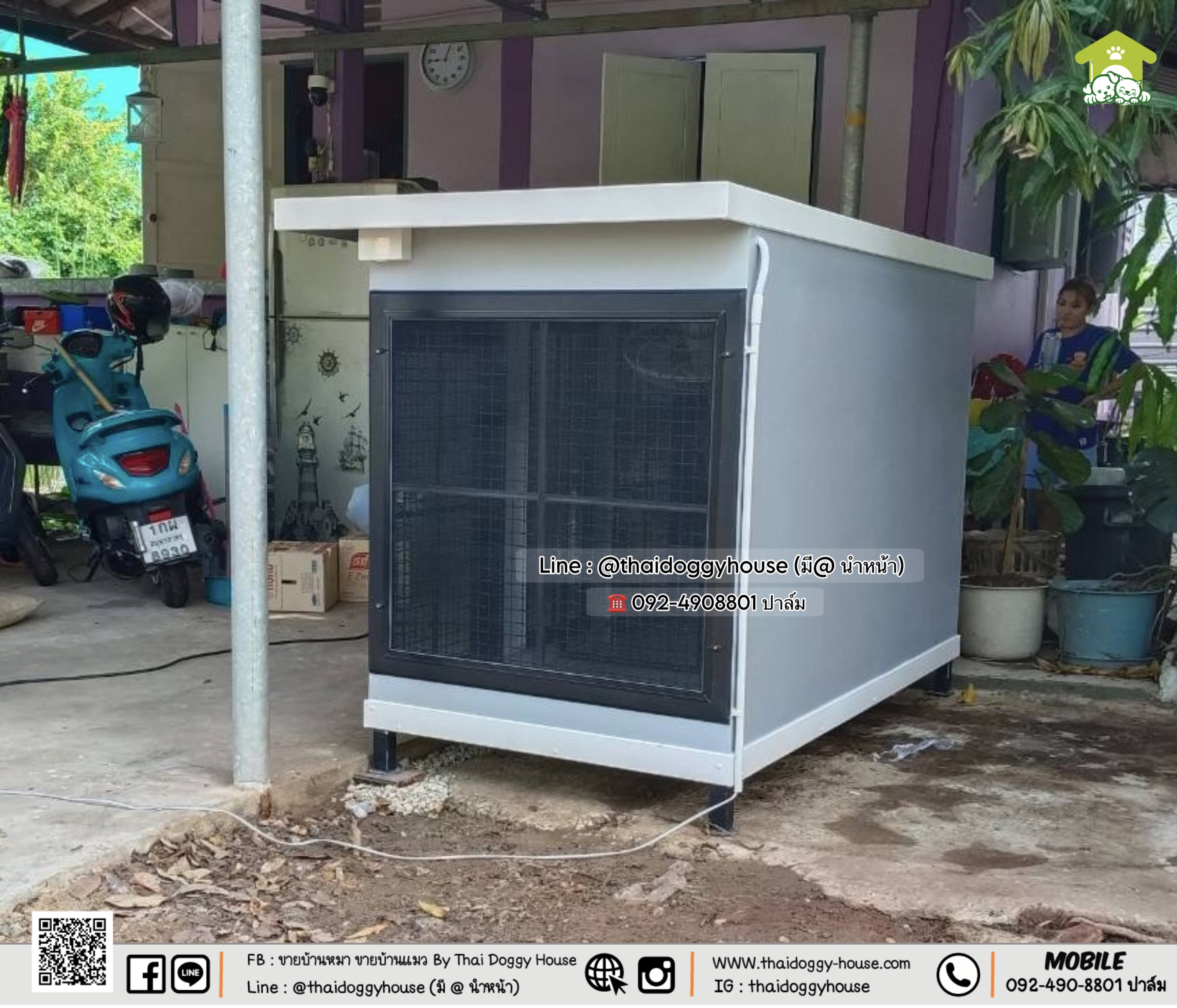 บ้านหมา บ้านแมว " 𝐁𝐎𝐗 𝐒𝐓𝐘𝐋𝐄 𝐁𝐘 𝐓𝐇𝐀𝐈 𝐃𝐎𝐆𝐆𝐘 𝐇𝐎𝐔𝐒𝐄 "