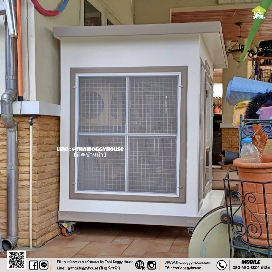 บ้านหมา บ้านแมว " 𝐁𝐎𝐗 𝐒𝐓𝐘𝐋𝐄 𝐁𝐘 𝐓𝐇𝐀𝐈 𝐃𝐎𝐆𝐆𝐘 𝐇𝐎𝐔𝐒𝐄
