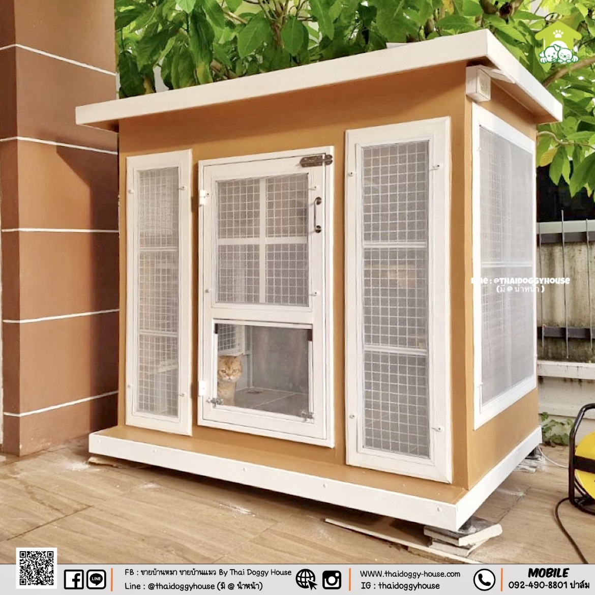 บ้านหมา บ้านแมว " 𝐁𝐎𝐗 𝐒𝐓𝐘𝐋𝐄 𝐁𝐘 𝐓𝐇𝐀𝐈 𝐃𝐎𝐆𝐆𝐘 𝐇𝐎𝐔𝐒𝐄 " &#x