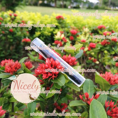 Automatic Eye Brow Pencil Refill (ดินสอเขียนคิ้วแบบอัตโนมัติ มี 2 สี ดำและน้ำตาล)