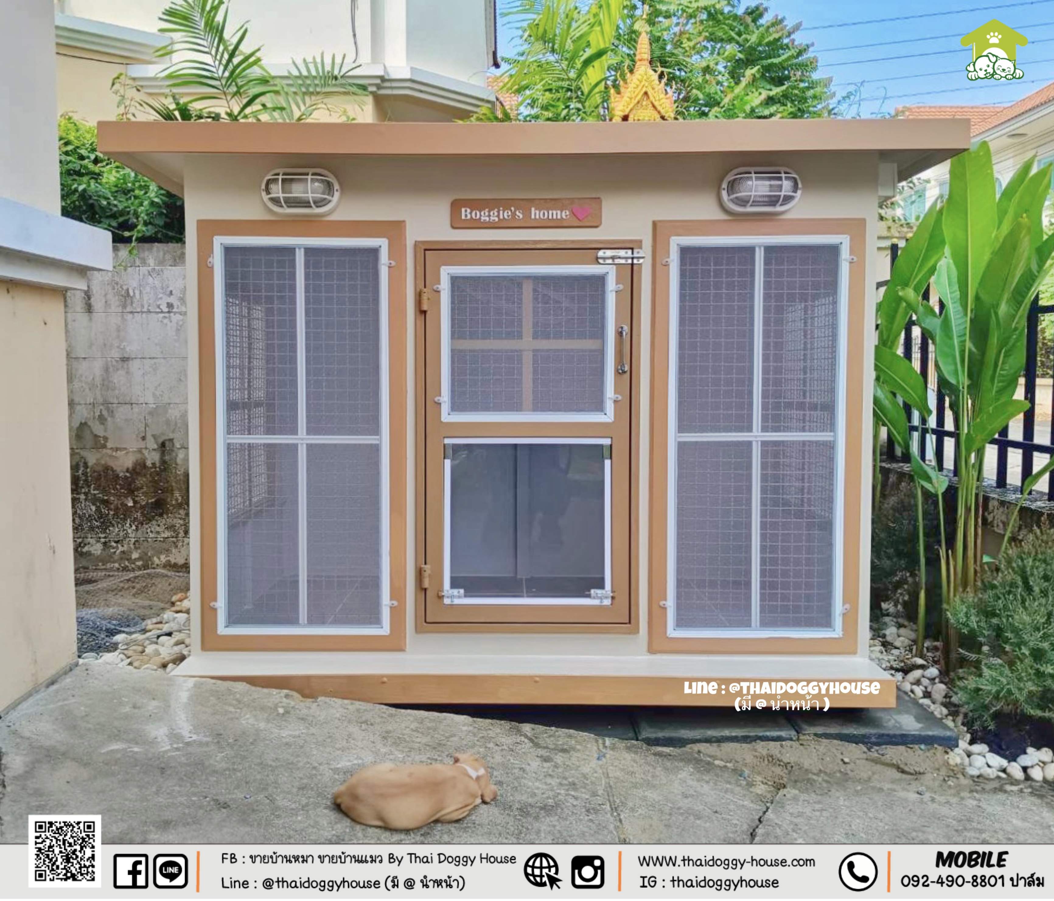 บ้านหมา บ้านแมว " 𝐁𝐎𝐗 𝐒𝐓𝐘𝐋𝐄 𝐁𝐘 𝐓𝐇𝐀𝐈 𝐃𝐎𝐆𝐆𝐘 𝐇𝐎𝐔𝐒𝐄 "