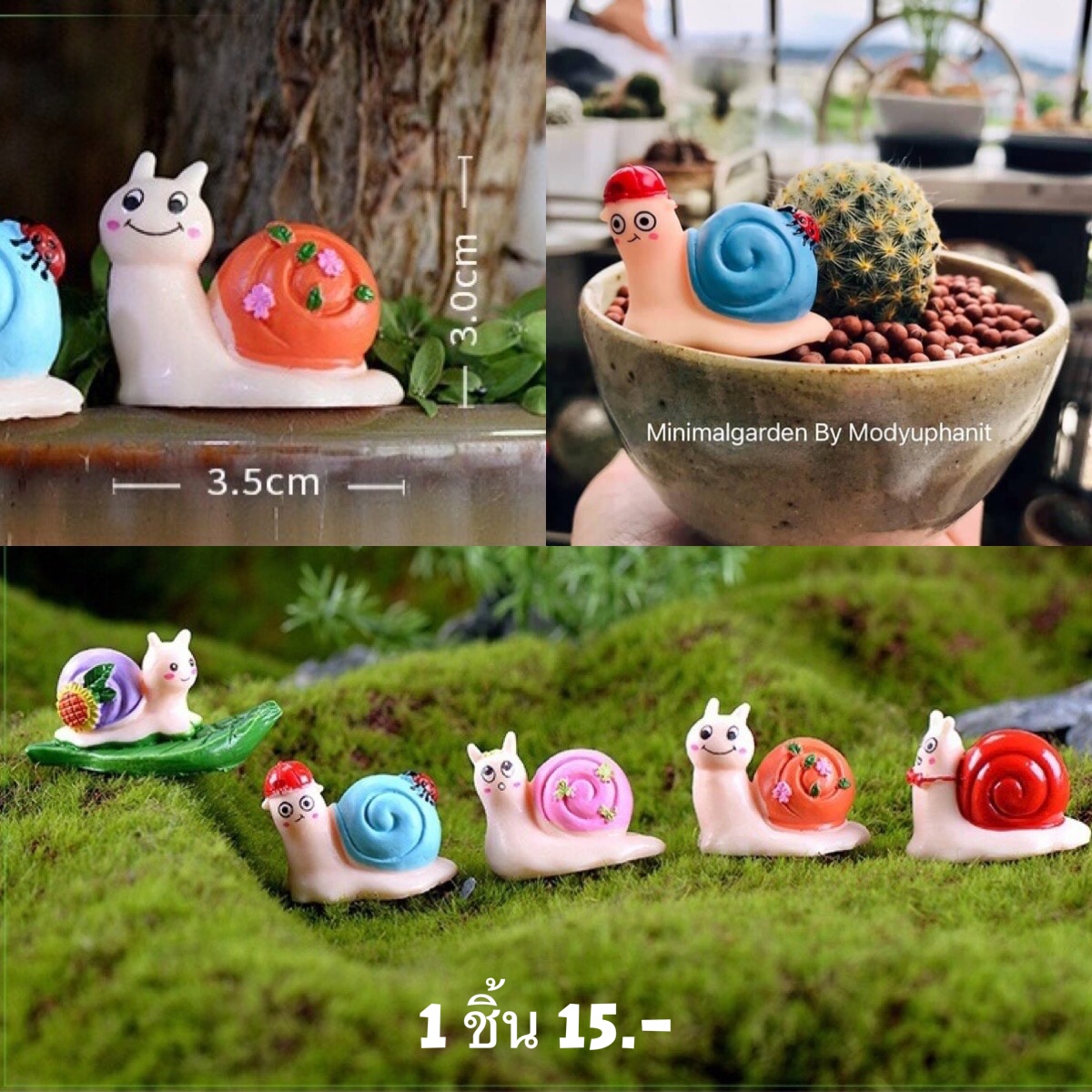 หอยทาก