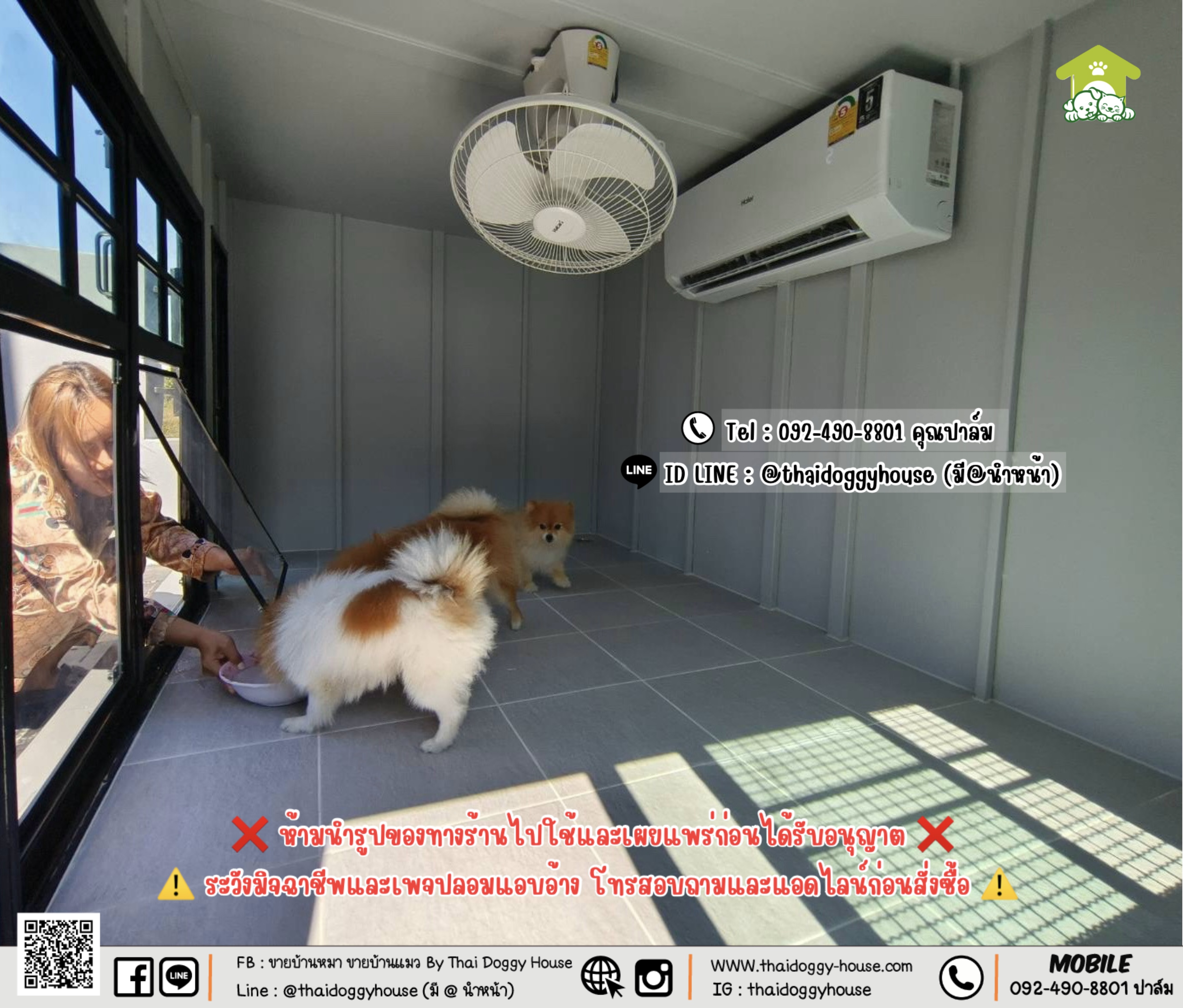 บ้านหมา บ้านแมว 𝐓𝐡𝐚𝐢 𝐝𝐨𝐠𝐠𝐲 𝐡𝐨𝐮𝐬𝗲 รวมแอร์+อุปกรณ์ไฟฟ้าครบชุด