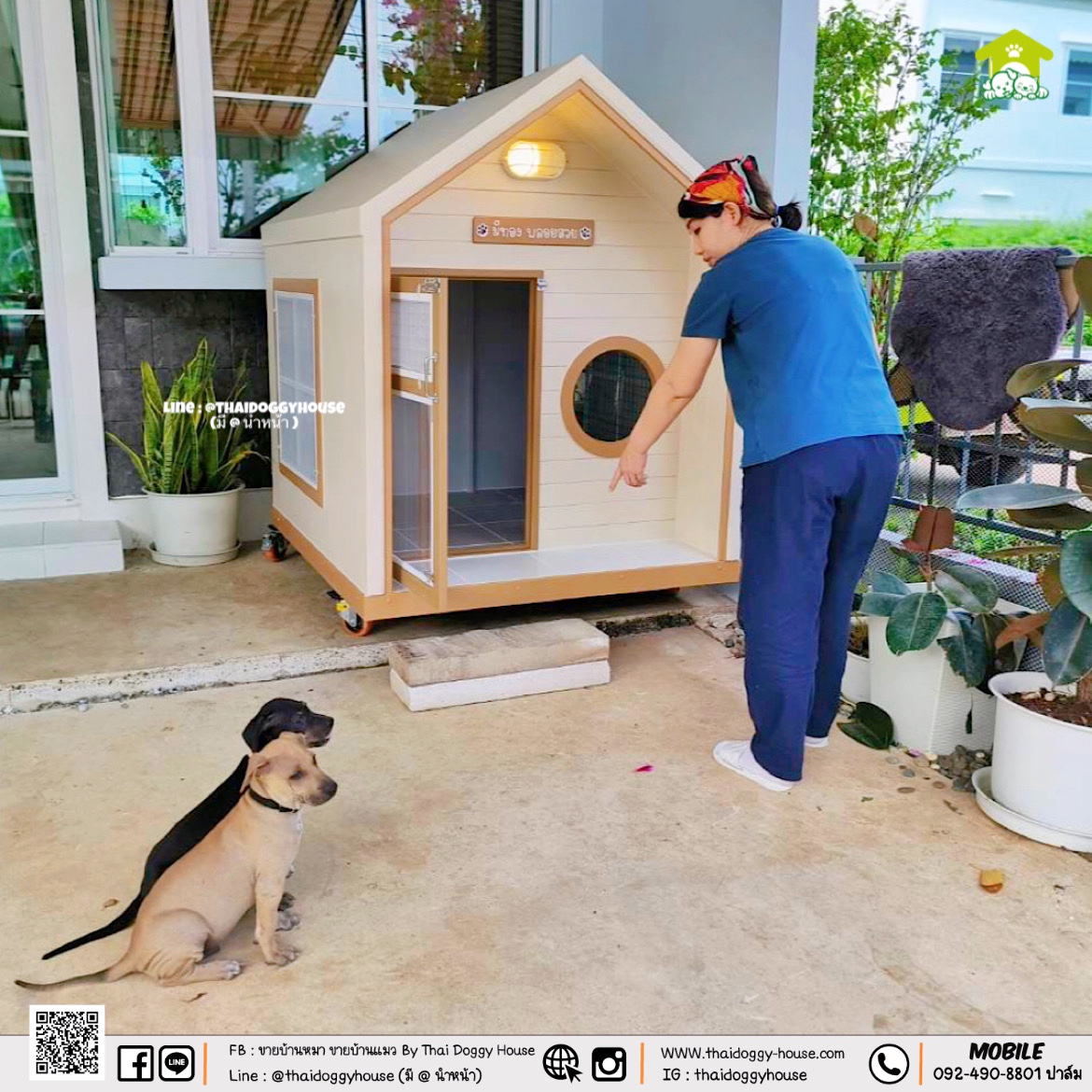 🏡 💛💛 𝐌𝐔𝐉𝐈 𝐒𝐓𝐘𝐋𝐄 💛💛 บ้านหมา บ้านแมว ที่เน้นความเรียบง่าย สบายตา พร้อมกับโทนสีที่ลงตัว By Thai Doggy House