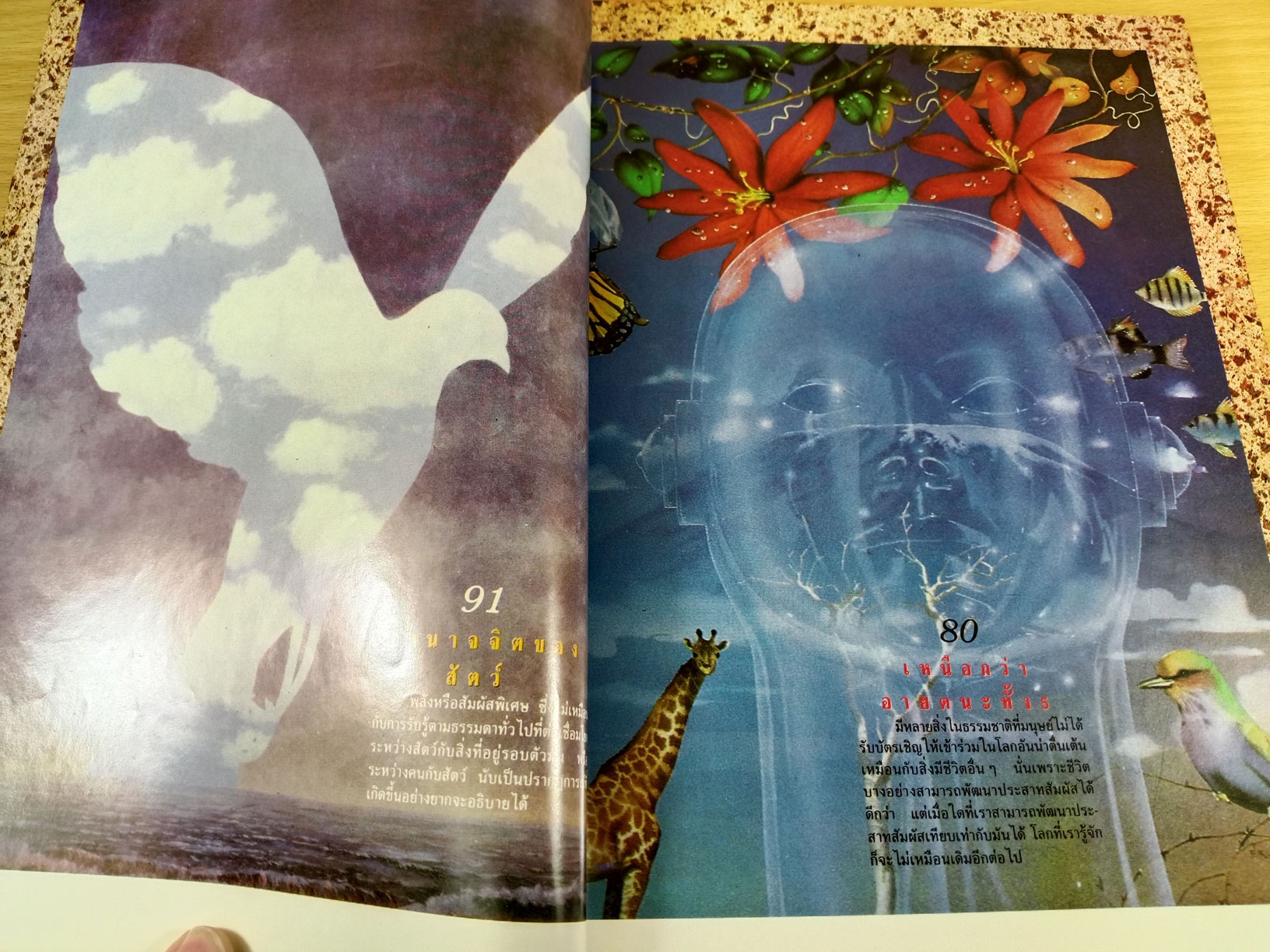 ชีวิตพิศวง รวมสารคดีที่เลือกสรรแล้วจากวารสารมิติที่ 4