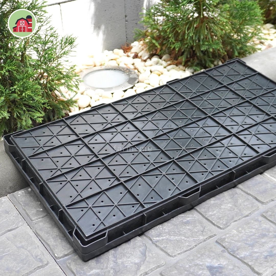 ถาดเพาะเมล็ดข้าว แพ็ค 10 ชิ้น