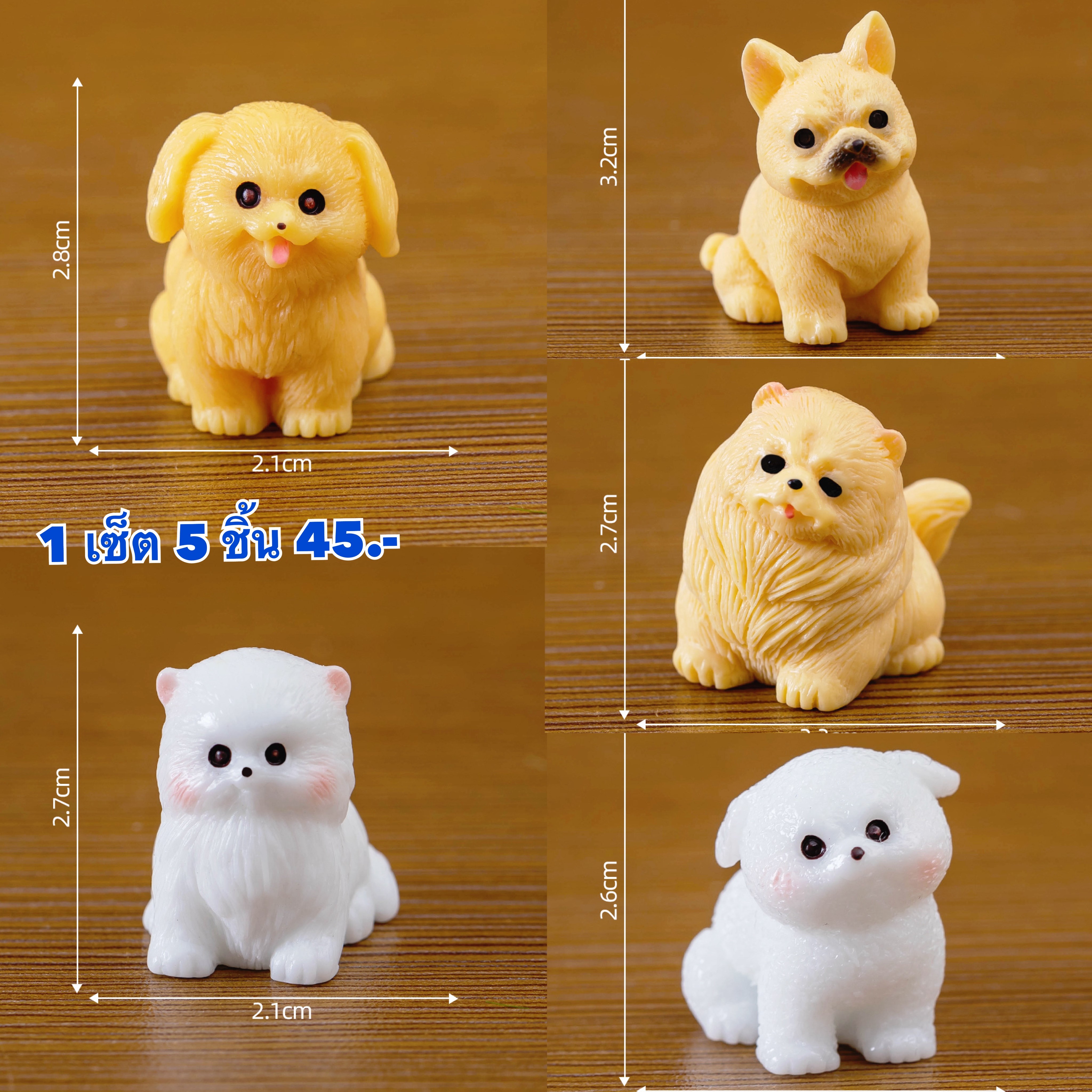 หมา 5 ชิ้น