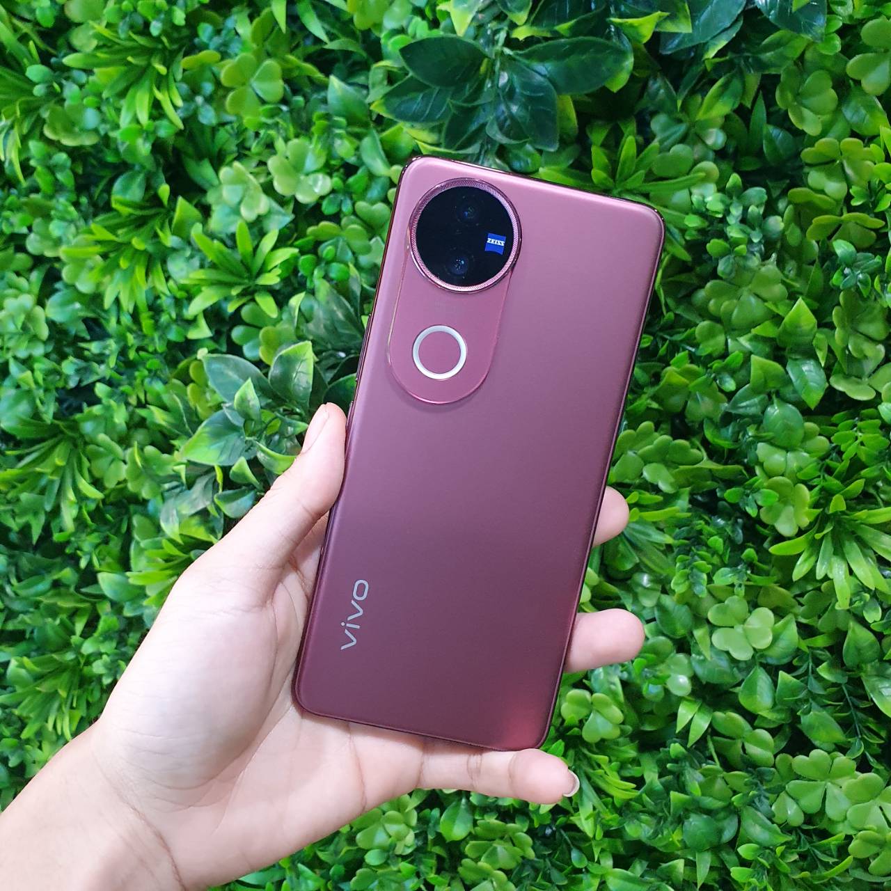 🌺ViVo V50 256GB Ancora Red ( Rose Red )🌺🌹 #อย่าช้า V50 ศูนย์ไทย ความจุเยอะ ปกศ.6 เดือน ราคาคุ้มๆ🌹