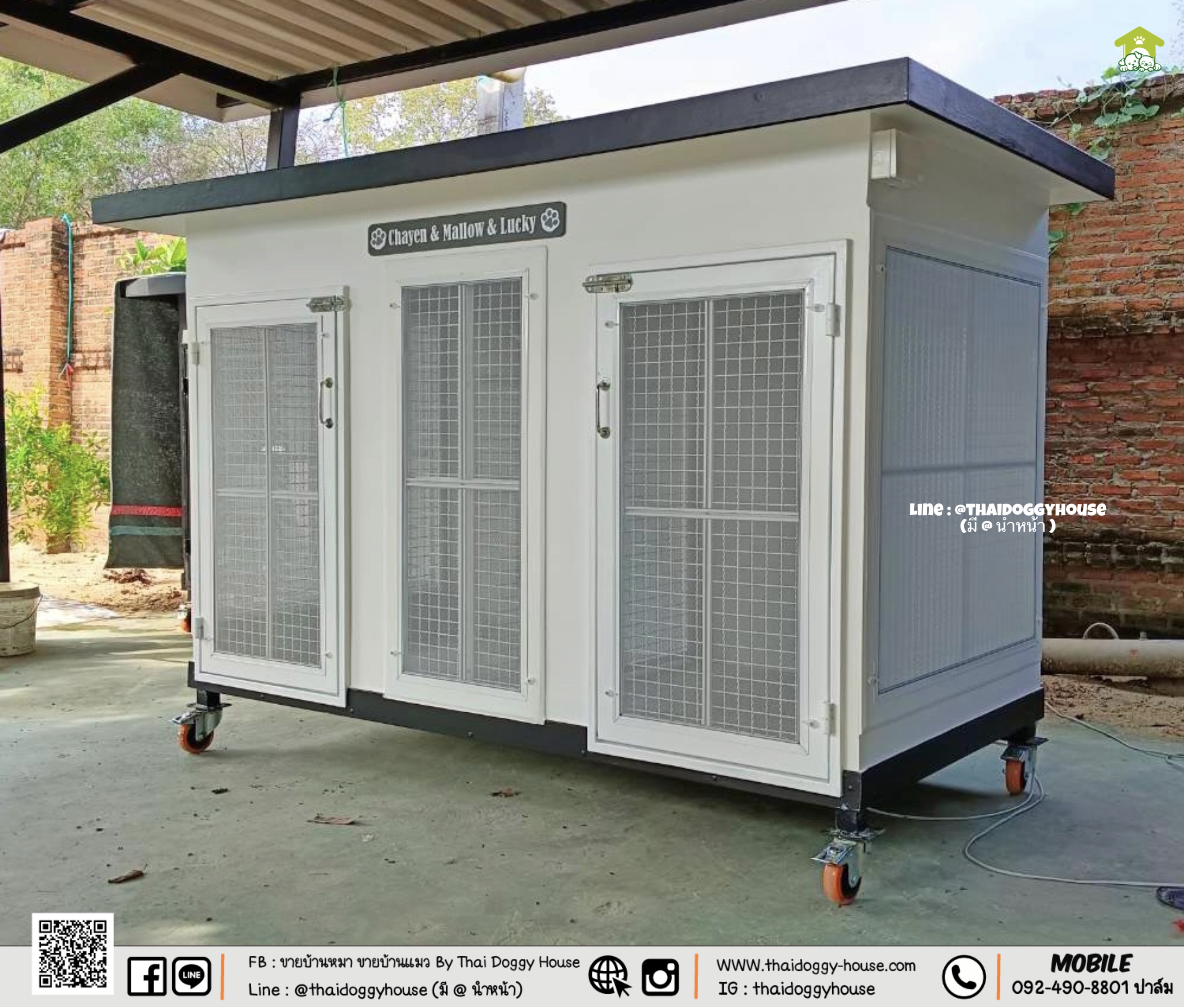 บ้านหมา บ้านแมว " 𝐁𝐎𝐗 𝐒𝐓𝐘𝐋𝐄 𝐁𝐘 𝐓𝐇𝐀𝐈 𝐃𝐎𝐆𝐆𝐘 𝐇𝐎𝐔𝐒𝐄 "