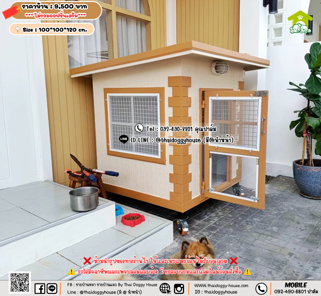 บ้านหมา บ้านแมว 𝐓𝐡𝐚𝐢 𝐝𝐨𝐠𝐠𝐲 𝐡𝐨𝐮𝐬𝗲