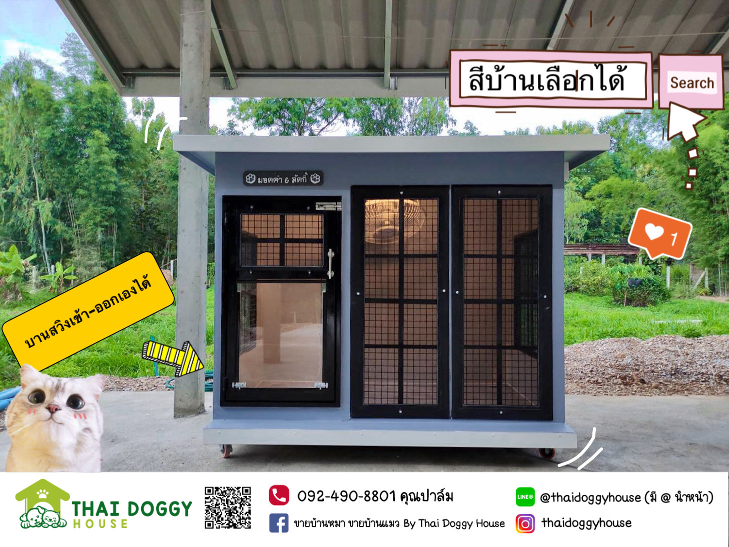 บ้านหมา บ้านแมว บ้านสัตว์เลี้ยง