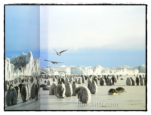 มองโลกผ่านเลนส์ (THROUGH THE LENS) 022213 (1)