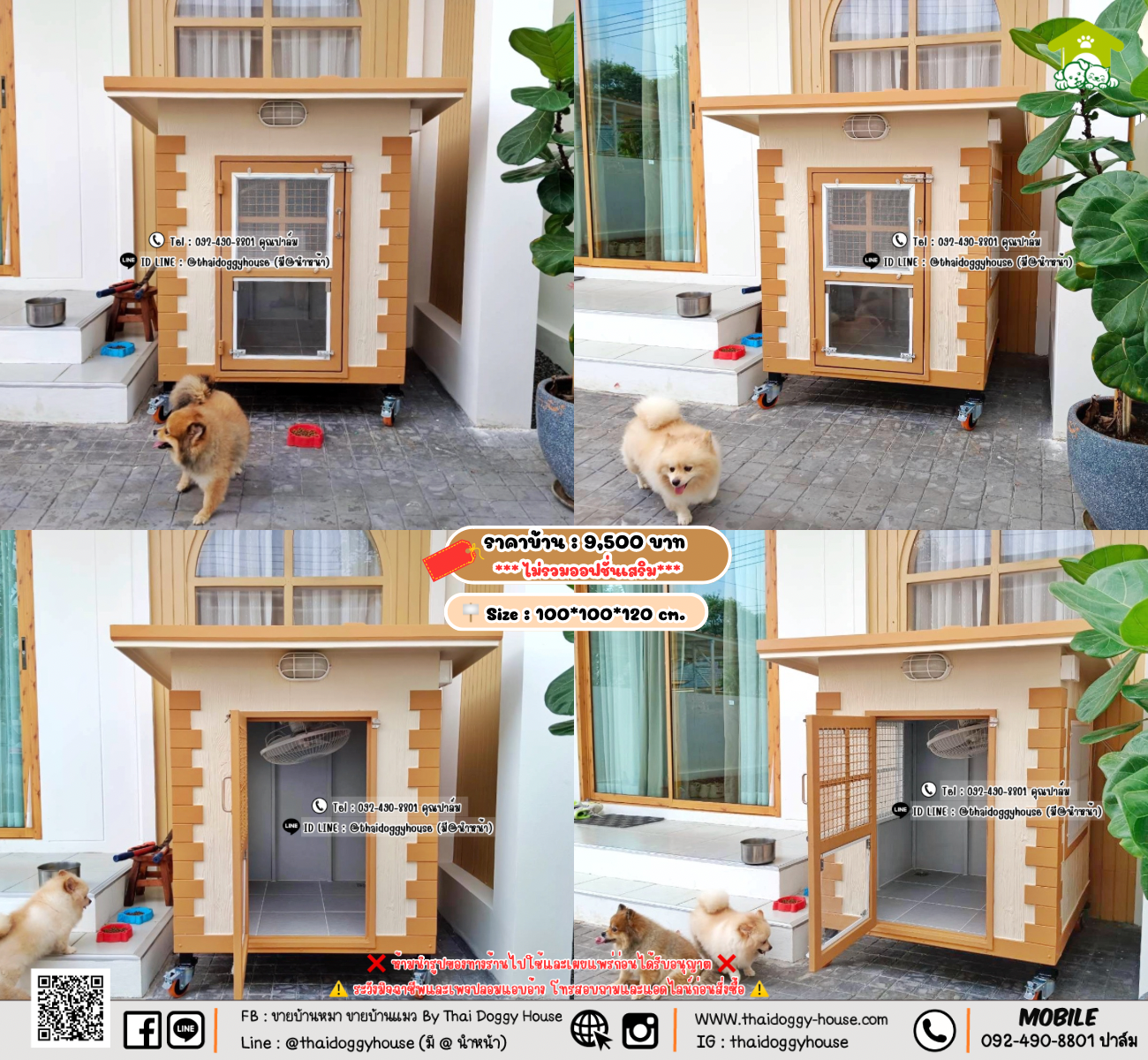 บ้านหมา บ้านแมว 𝐓𝐡𝐚𝐢 𝐝𝐨𝐠𝐠𝐲 𝐡𝐨𝐮𝐬𝗲