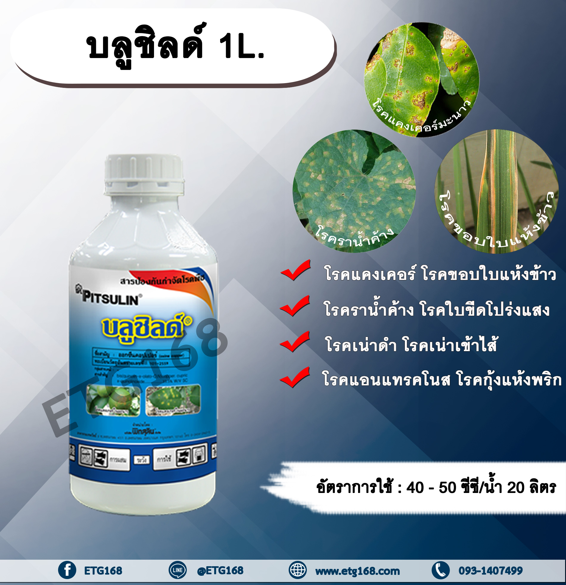 บลูชิลด์ 1L. ออกซีนคอปเปอร์ สารกำจัดโรคพืช กำจัดเชื้อราและแบคทีเรีย โรคแคงเคอร์ โรคเน่าเข้าไส้ โรคราน้ำค้าง โรคขอบใบแห้ง โรคขีดโปร่งแสง โรคแอนแทรคโนส โรคกุ้งแห้งพริก