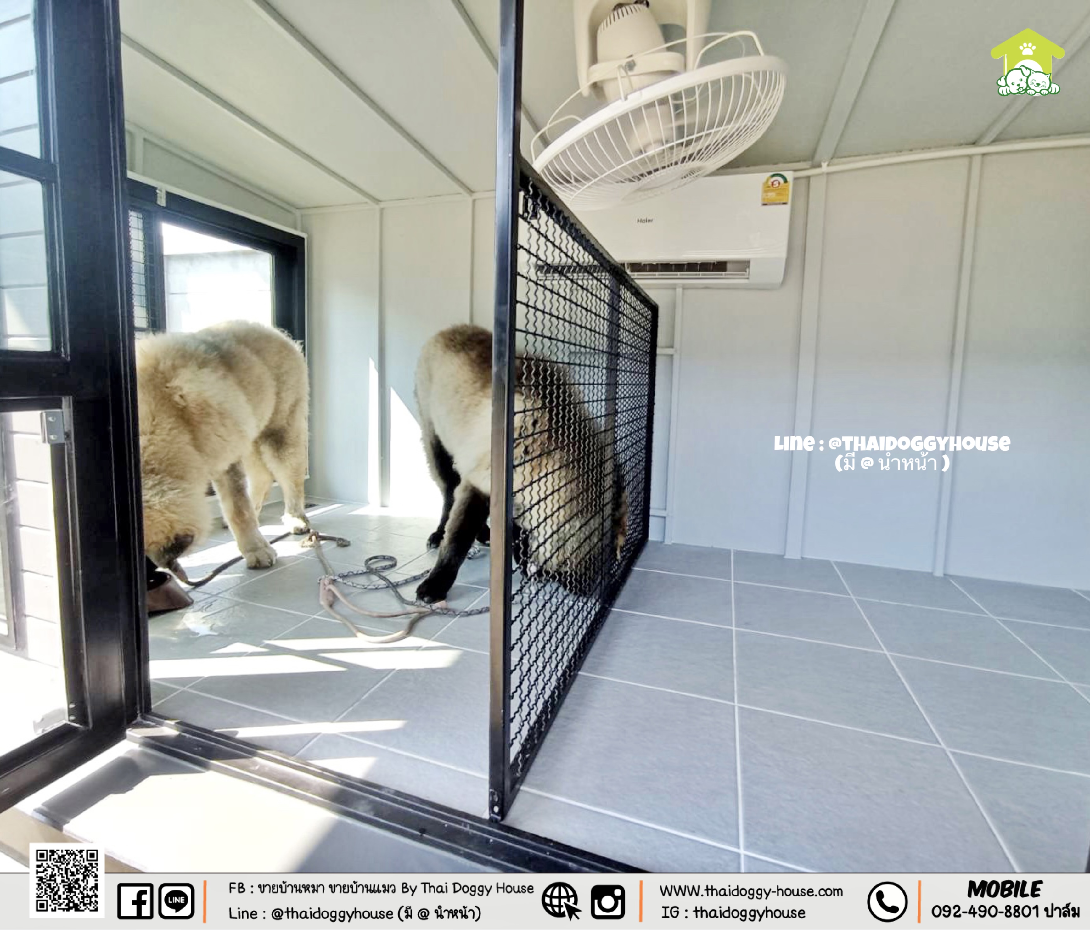 บ้านหมา บ้านแมว " 𝐁𝐎𝐗 𝐒𝐓𝐘𝐋𝐄 𝐁𝐘 𝐓𝐇𝐀𝐈 𝐃𝐎𝐆𝐆𝐘 𝐇𝐎𝐔𝐒𝐄 "