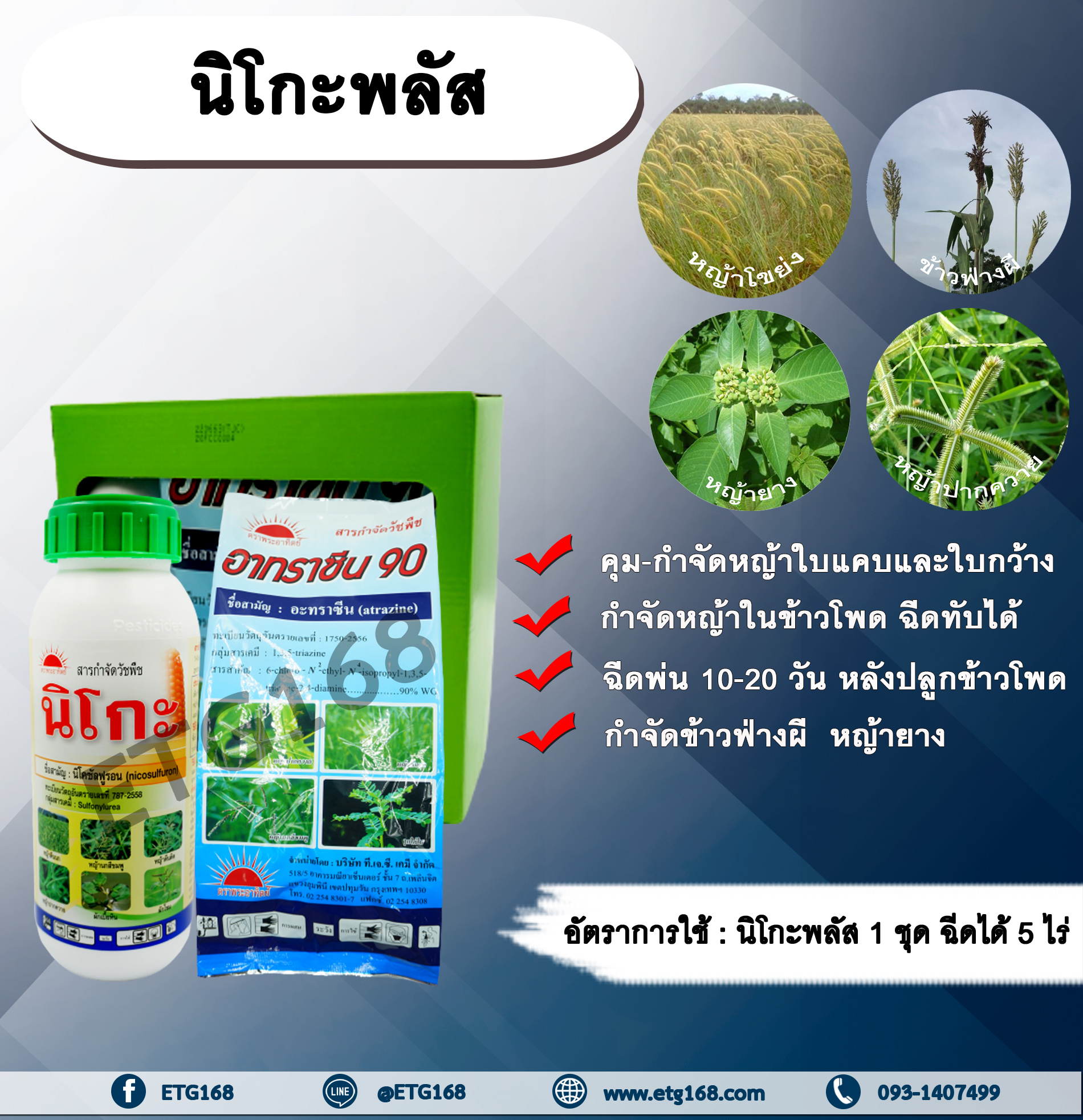 นิโกะพลัส (นิโคซัลฟูรอน + อาทราซีน) สารกำจัดวัชพืช สารคุมวัชพืช ในข้าวโพด กำจัดข้าวฟ่างผี หญ้าโขย่ง