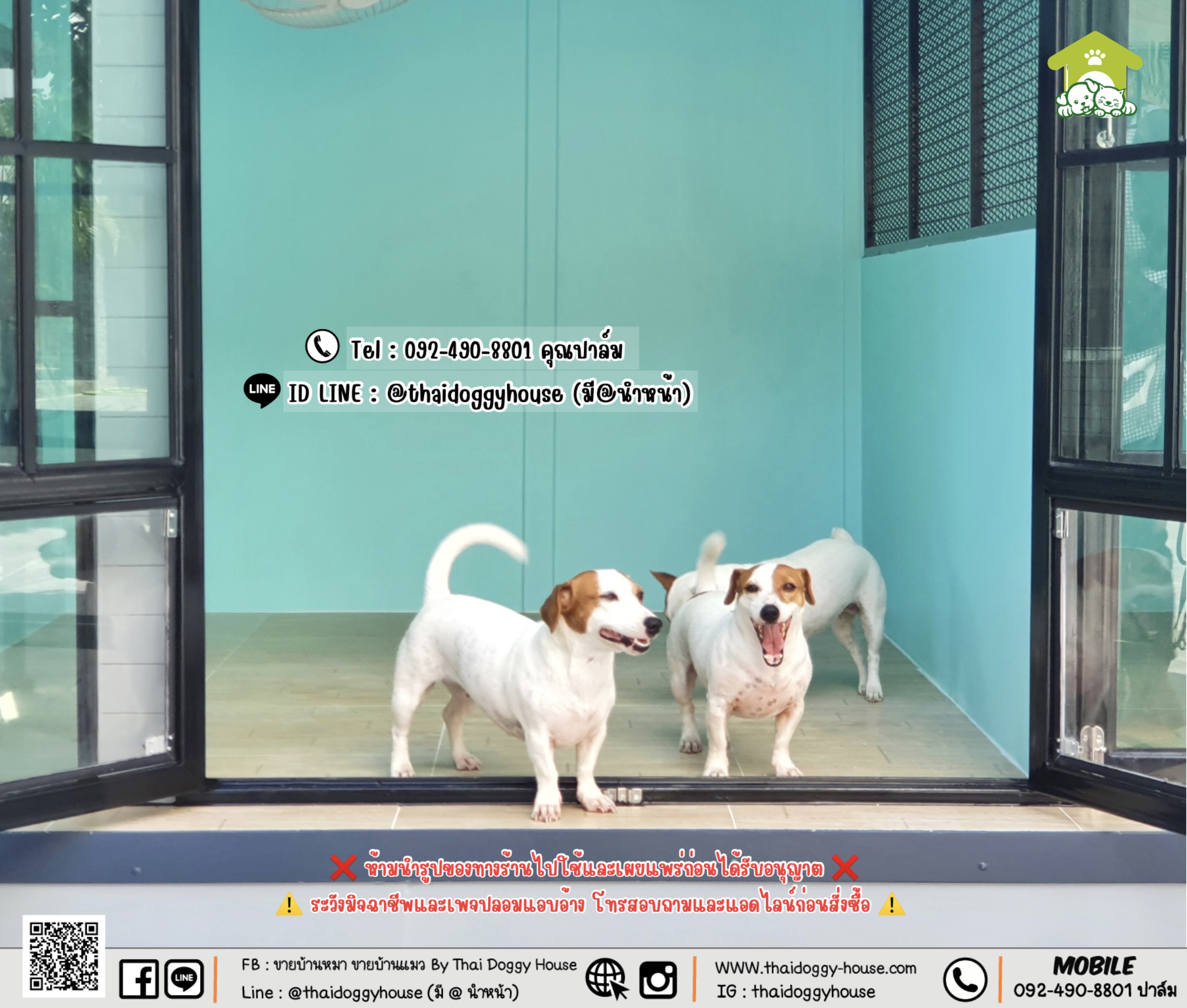 บ้านหมา บ้านแมว 𝐓𝐡𝐚𝐢 𝐝𝐨𝐠𝐠𝐲 𝐡𝐨𝐮𝐬𝐞 แบบบ้าน 𝐁𝐨𝐱 𝐒𝐭𝐲𝐥𝐞 #บ้านกระจกรองรับการติดแอร์