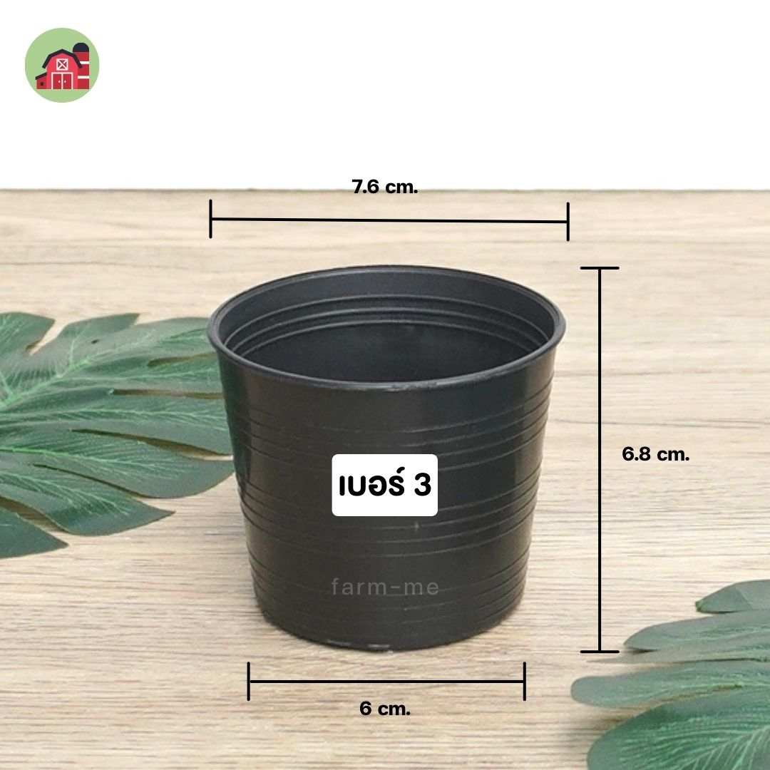 กระถางต้นไม้ กลมดำ เบอร์3