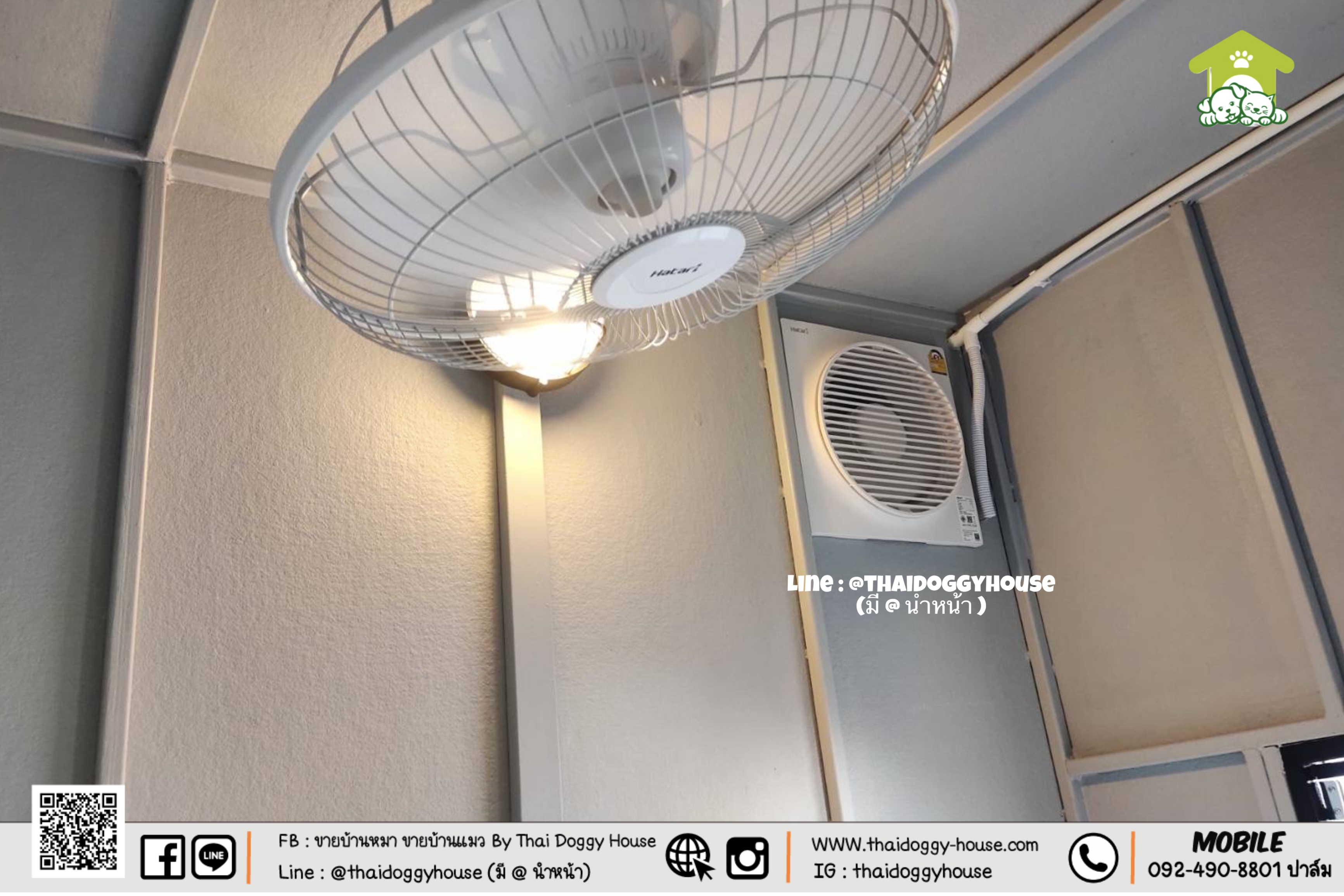 🏡 บ้านหมา บ้านแมว "𝐁𝐎𝐗 𝐒𝐓𝐘𝐋𝐄" หลังนี้เอาใจคนที่อยากได้บ้านน้องหมา น้องแมวแบบติดแอร์ได้