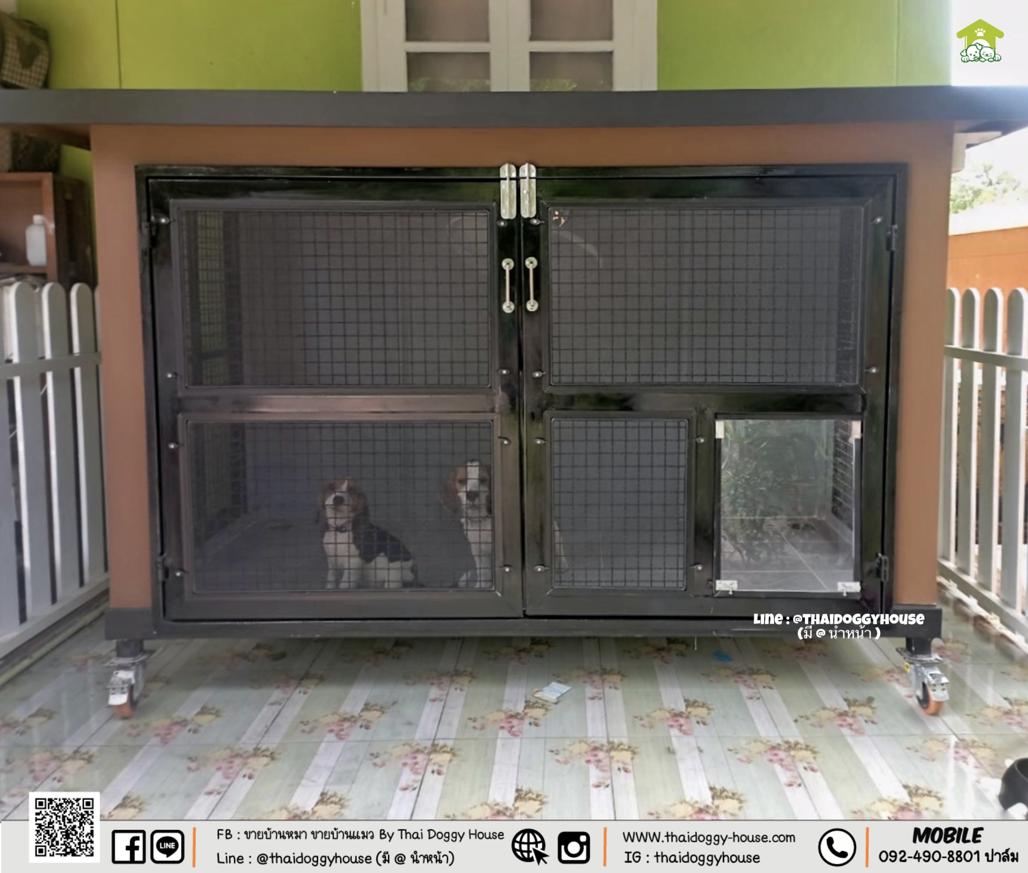 บ้านหมา บ้านแมว " 𝐁𝐎𝐗 𝐒𝐓𝐘𝐋𝐄 𝐁𝐘 𝐓𝐇𝐀𝐈 𝐃𝐎𝐆𝐆𝐘 𝐇𝐎𝐔𝐒𝐄 " &#x