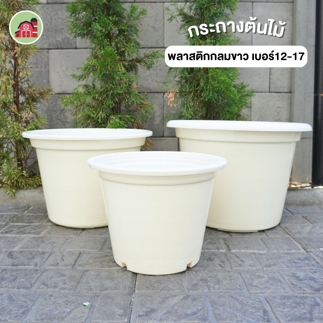 กระถางต้นไม้ ทรงกลมสีขาว เบอร์12-17 ขายปลีก
