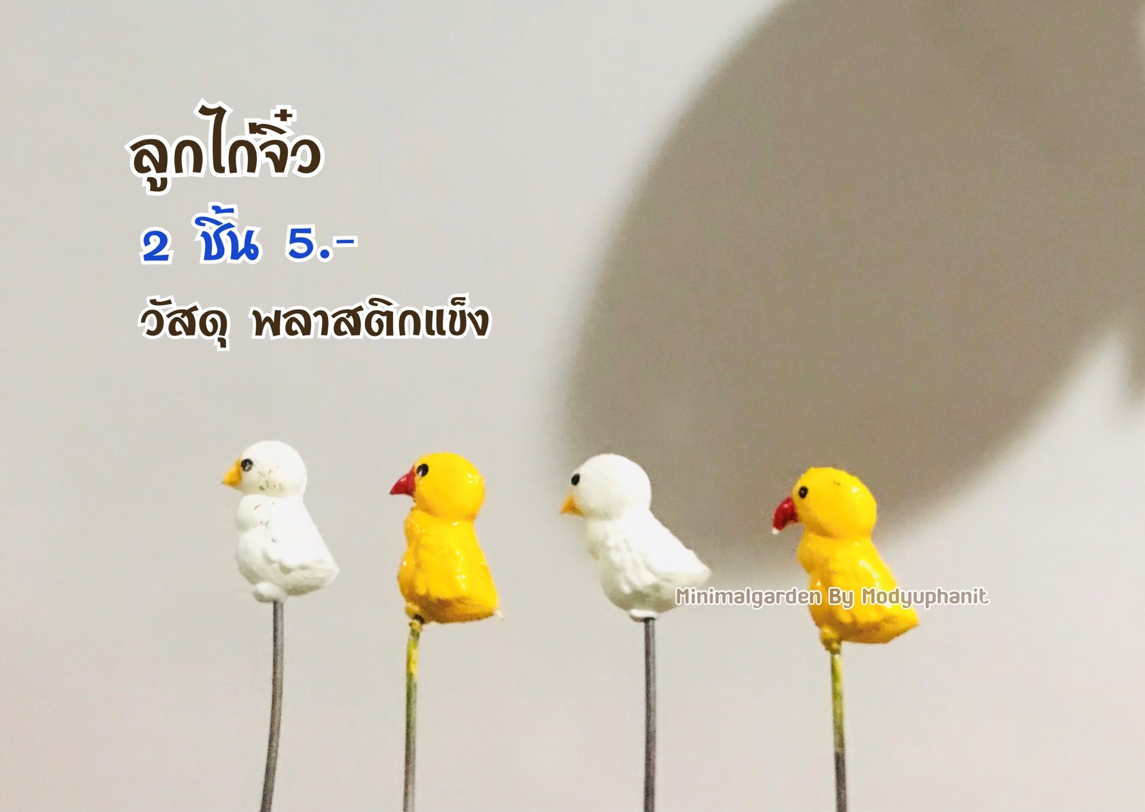 ลูกไก่จิ๋ว