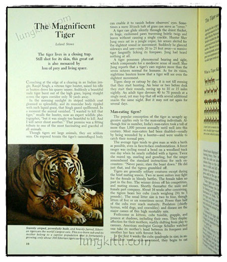 Our Magnificent Wildlife - How To Enjoy and Preserve It 019621 (1)