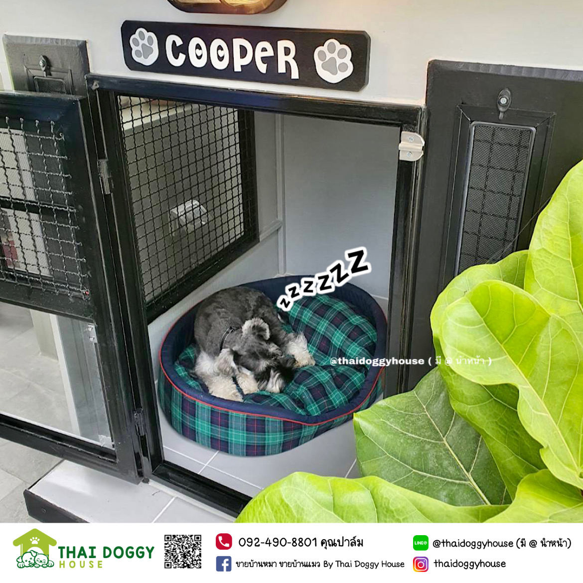 บ้านหมา บ้านแมว BOX STYLE ดีไซน์ทันสมัย แบบขายดี งบเบาๆ