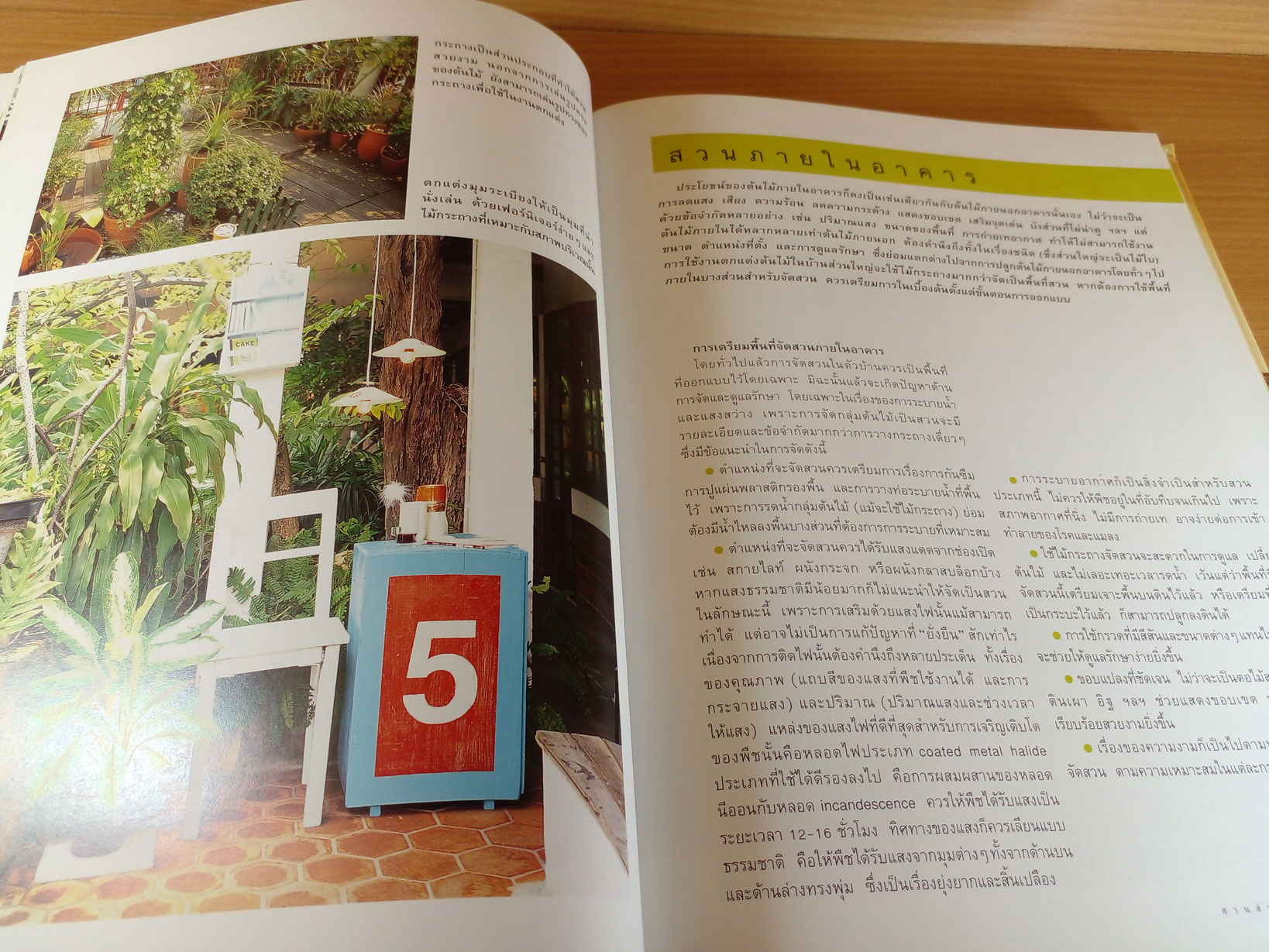 สวนสำหรับคนไม่มีสวน คำตอบสำหรับคนไม่มีพื้นที่สวน