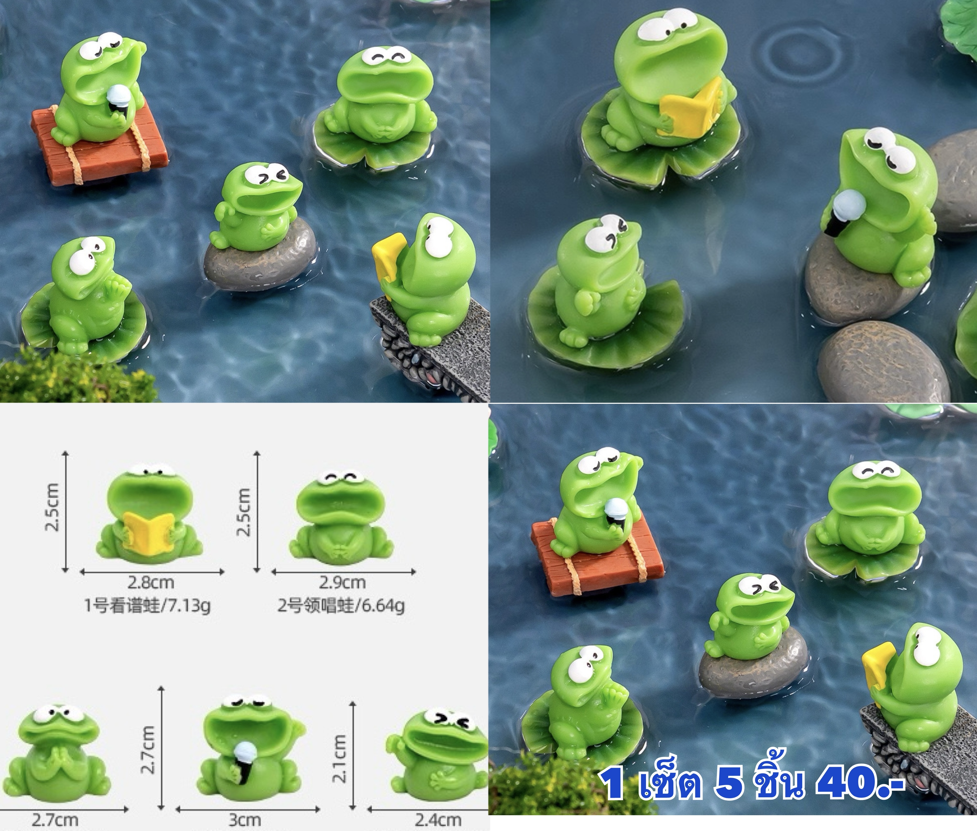 เซ็ต กบ 5 ชิ้น