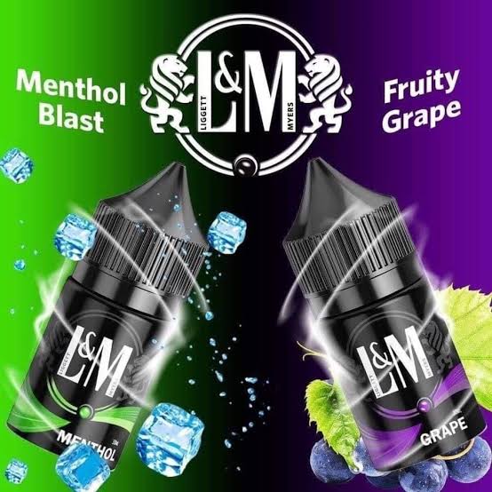 Lm ซอลนิค