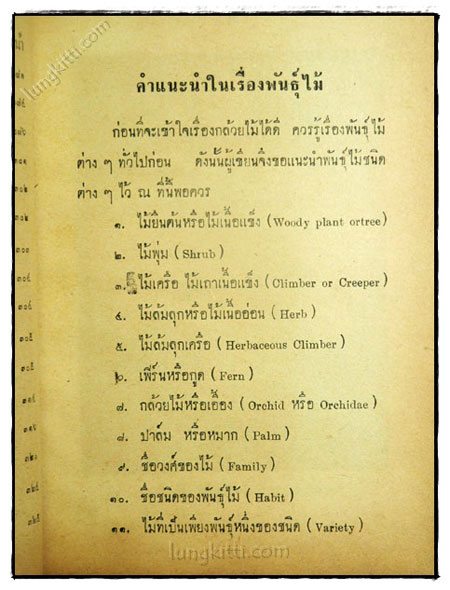 กล้วยไม้ 023267