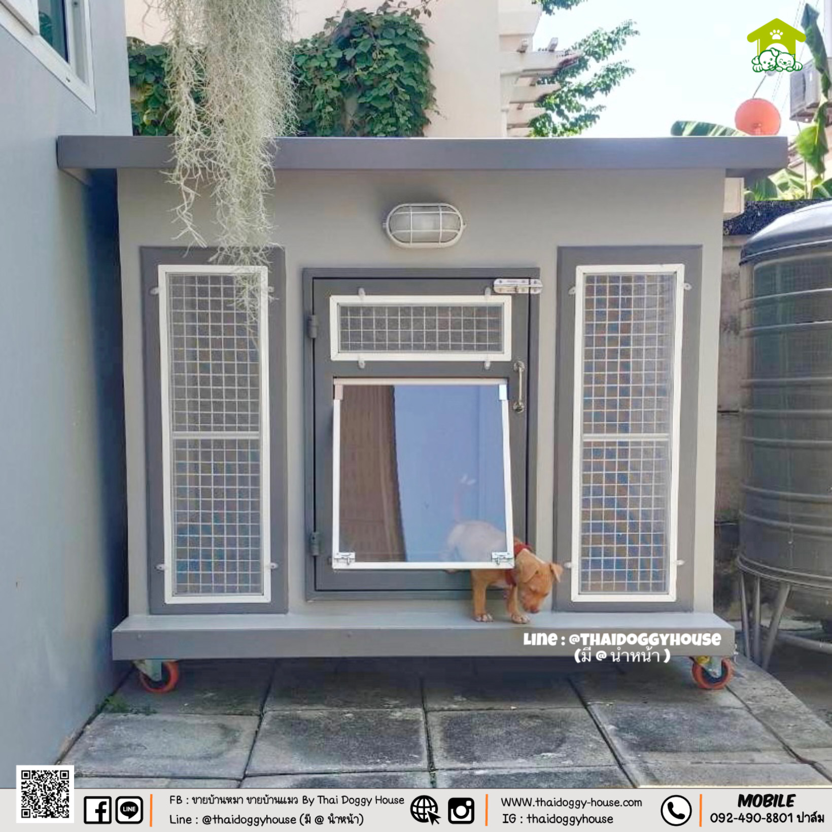 บ้านหมา บ้านแมว " 𝐁𝐎𝐗 𝐒𝐓𝐘𝐋𝐄 𝐁𝐘 𝐓𝐇𝐀𝐈 𝐃𝐎𝐆𝐆𝐘 𝐇𝐎𝐔𝐒𝐄 "