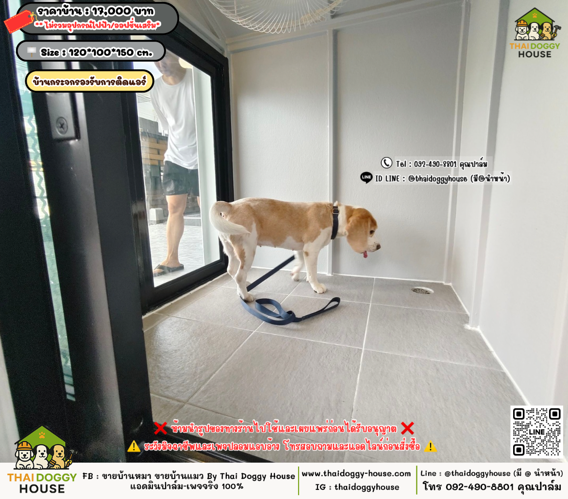 บ้านหมา บ้านแมว 𝐓𝐡𝐚𝐢 𝐝𝐨𝐠𝐠𝐲 𝐡𝐨𝐮𝐬𝗲