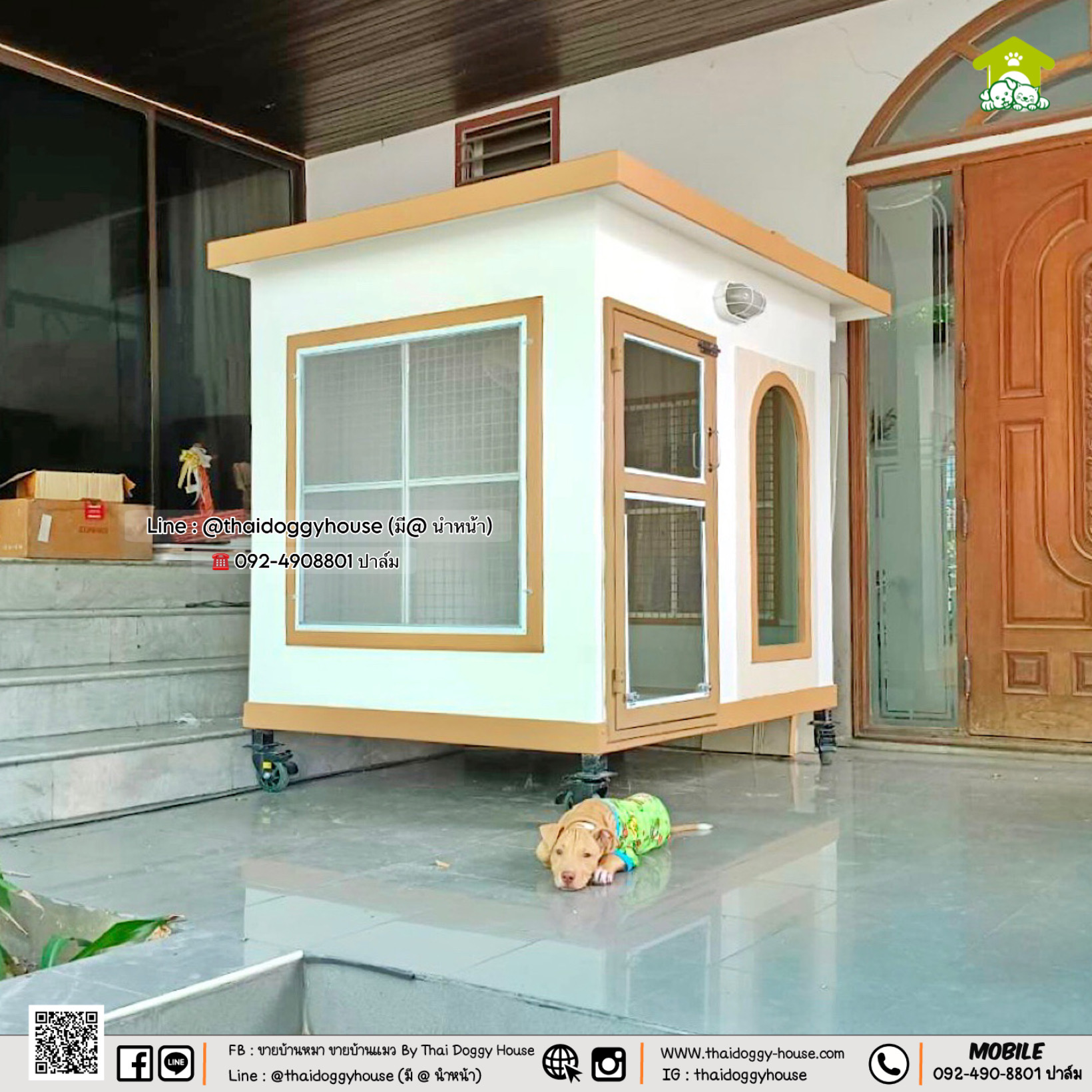 บ้านหมา บ้านแมว 𝐓𝐡𝐚𝐢 𝐝𝐨𝐠𝐠𝐲 𝐡𝐨𝐮𝐬𝐞 แบบบ้าน 𝐌𝐢𝐧𝐢𝐦𝐚𝐥