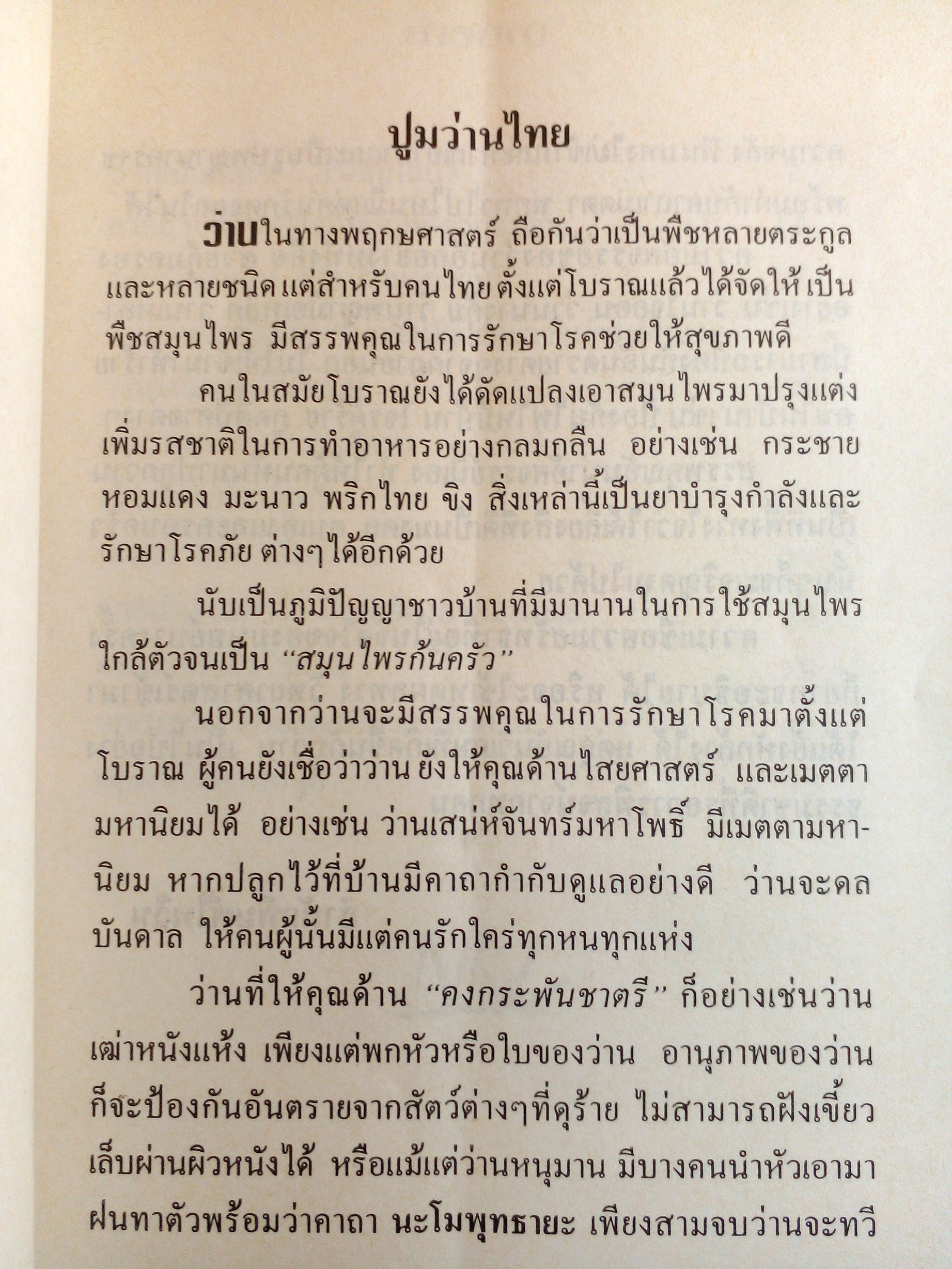 ว่าน ต้นไม้อัศจรรย์