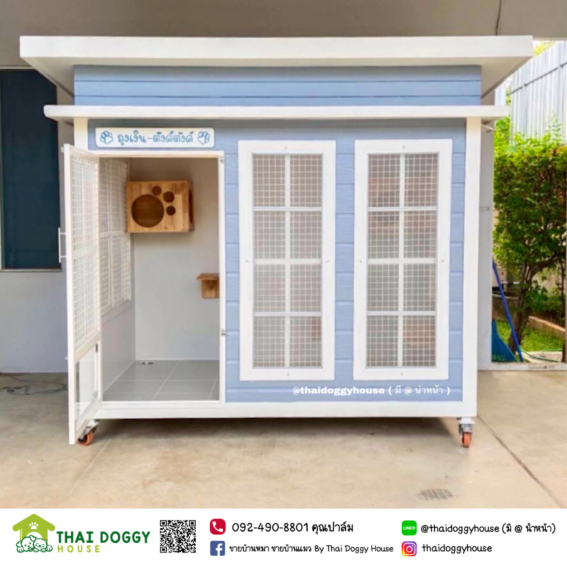 บ้านแมว หลังใหญ่ อยู่สบายๆ อากาศถ่ายเทดี พื้นปูกระเบื้อง สามารถล้างทำความสะอาดได้