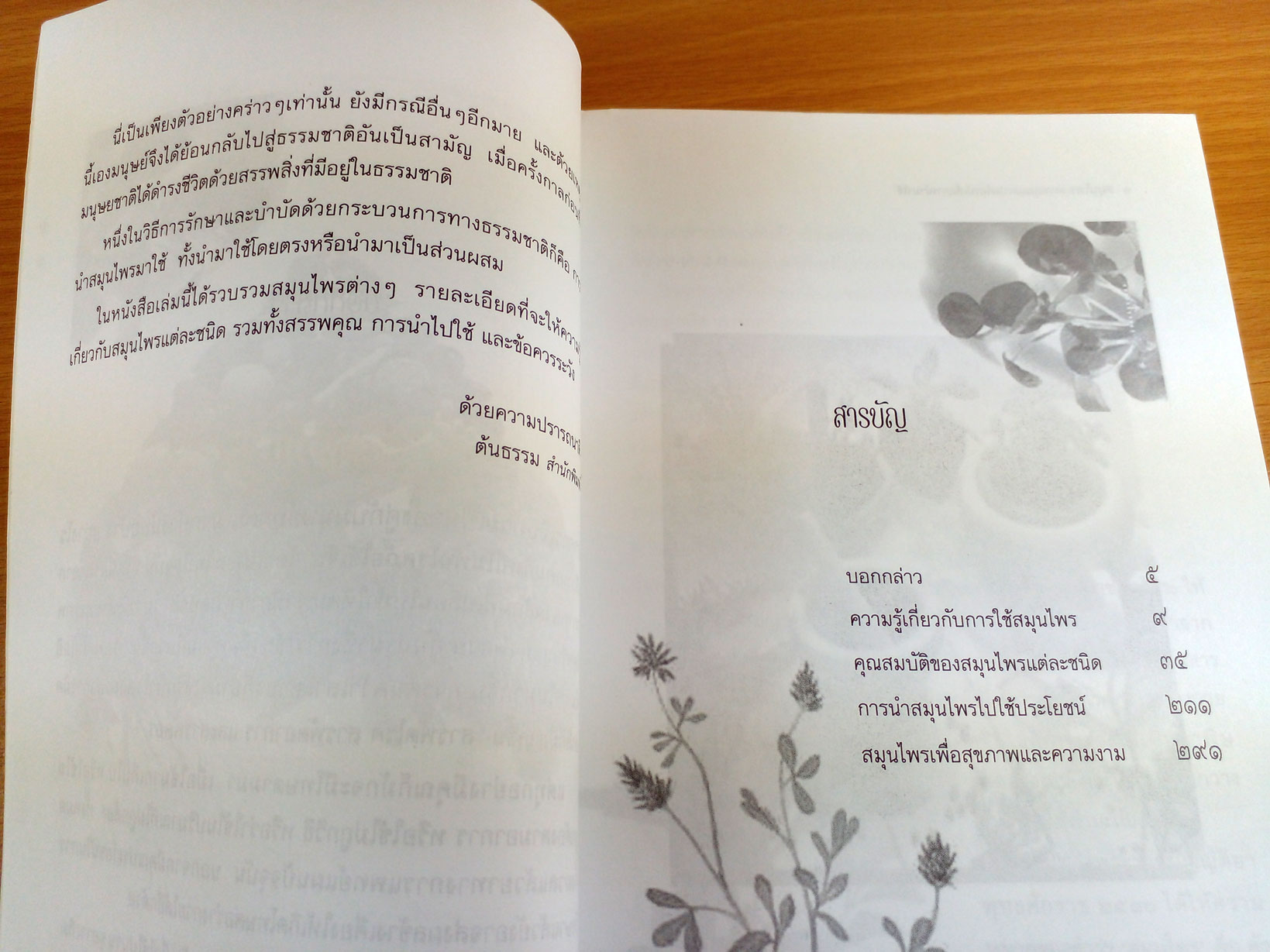 สมุนไพร สรรพคุณและประโยชน์เพื่อการนำไปใช้