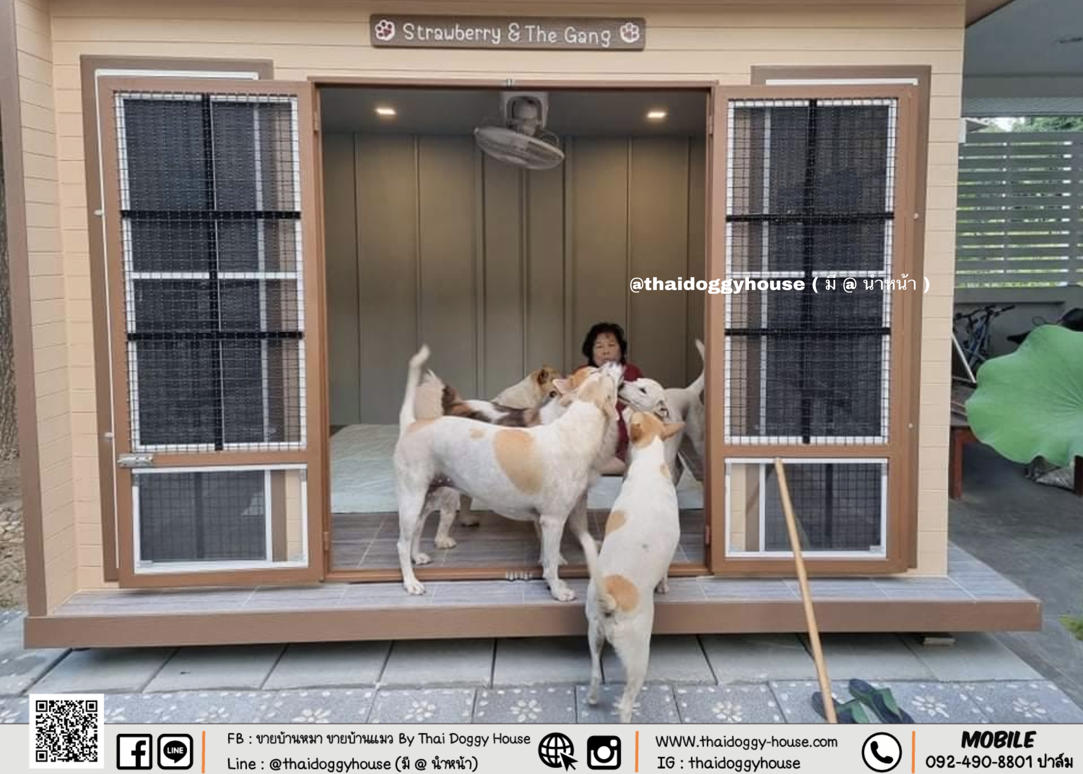 บ้านหมา บ้านแมว Box Style " ภายในกว้าง หลังใหญ่มาก ไม่อึดอัด พร้อมตะแกรงเหล็กดัด แถมมุ้งลวดให้ด้วยน้า น้องๆนอนสบายแน่นอน 🥰