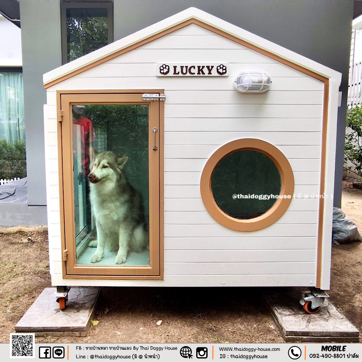 บ้านหมา บ้านแมว บ้านน็อคดาวน์ บ้านสัตว์เลี้ยง แบบติดแอร์ By Thai Doggy House
