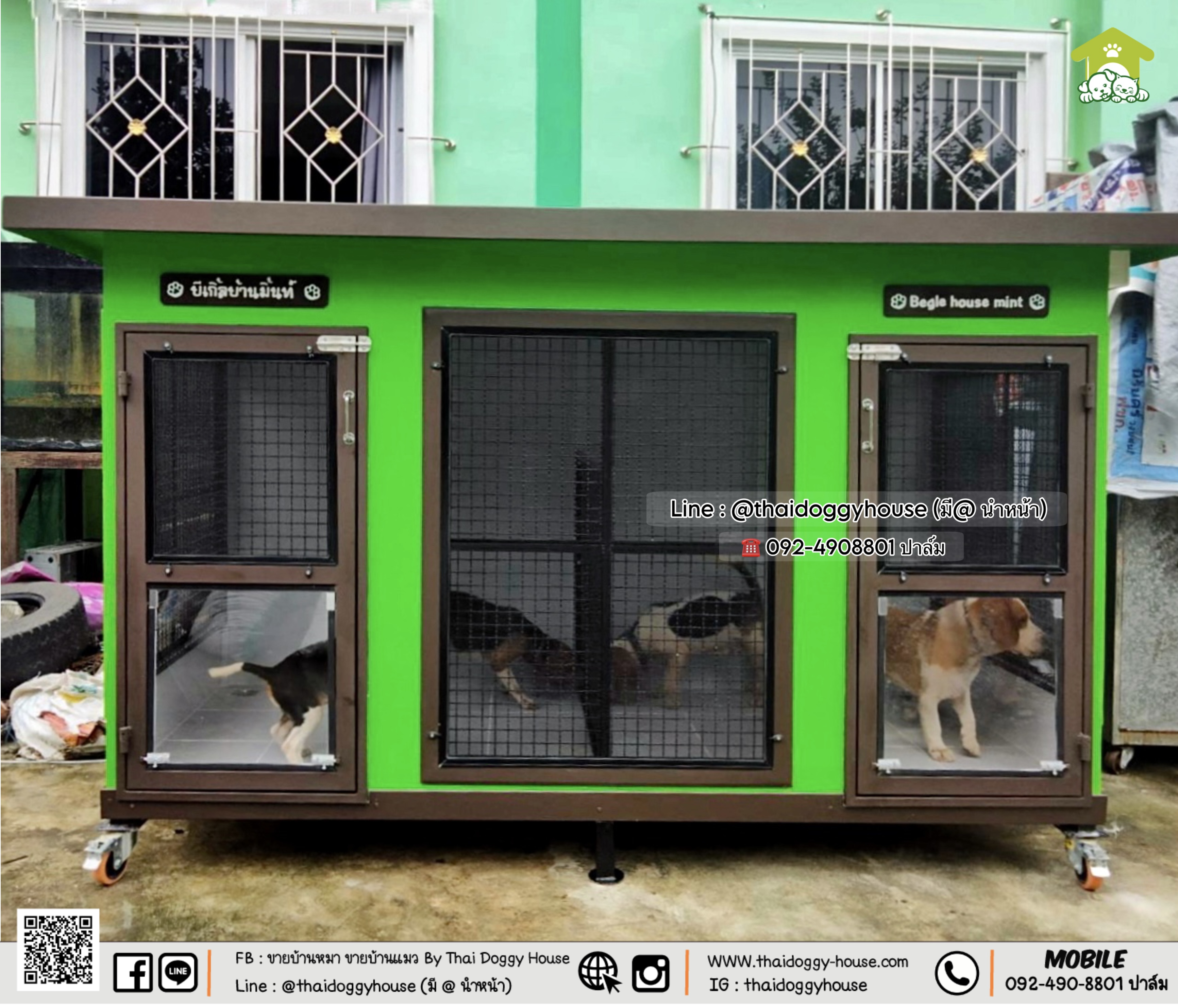 🏡 บ้านหมา บ้านแมว " 𝐁𝐎𝐗 𝐒𝐓𝐘𝐋𝐄 𝐁𝐘 𝐓𝐇𝐀𝐈 𝐃𝐎𝐆𝐆𝐘 𝐇𝐎𝐔𝐒𝐄