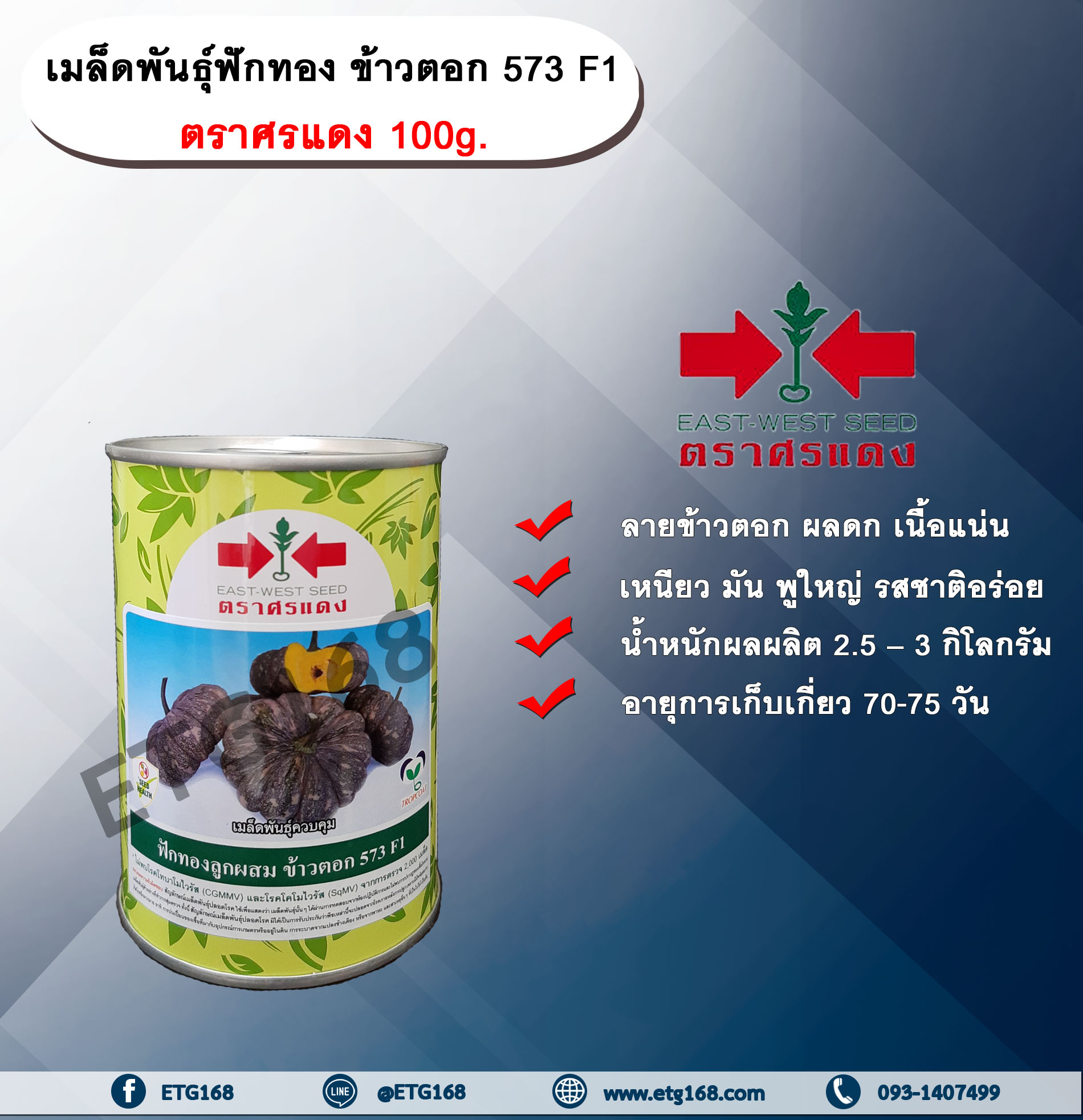 เมล็ดพันธุ์ฟักทอง ข้าวตอก 573 F1 ตราศรแดง 100g กระป๋อง. เมล็ดพันธุ์ เมล็ดพันธุ์ผัก เมล็ดพันธุ์พืช เมล็ดพันธุ์ฟักทอง ลายข้าวตอก ผลดก เนื้อแน่น เหนียว มัน พูใหญ่ รสชาติอร่อย