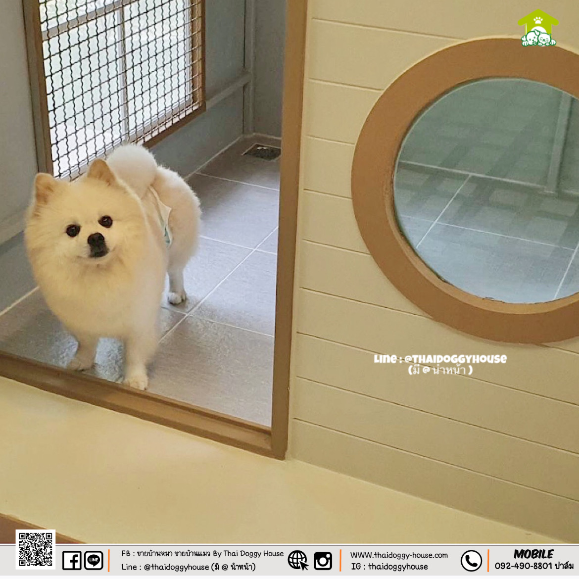 𝐌𝐔𝐉𝐈 𝐒𝐓𝐘𝐋𝐄 💛💛 บ้านหมา บ้านแมว ที่เน้นความเรียบง่าย สบายตา พร้อมกับโทนสีที่ลงตัว ไว้มุมไหนของบ้านก็สวยงาม 🐈🦮