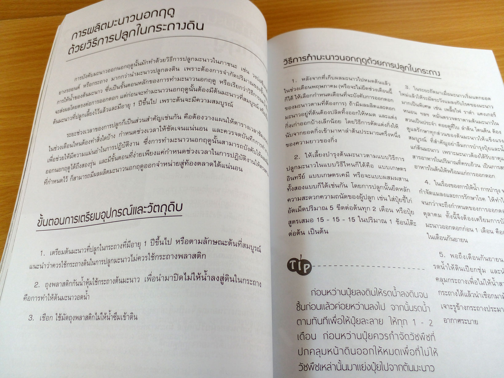 สร้างกำไรด้วยการปลูกมะนาว+ขายต้นกล้า